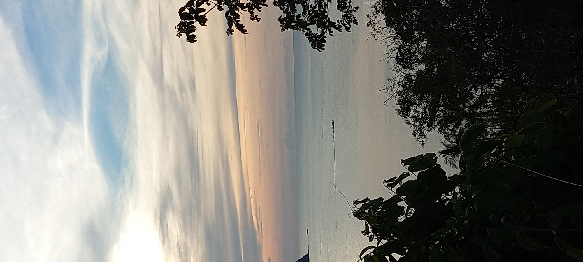 A medium-angle, outdoor shot captures a sunset over the sea from what appears to be a hillside in Baan Chaloklum, Thailand. The scene is framed by silhouetted tree branches and foliage in the foreground. The sky exhibits a gradient of colors, transitioning from pale blue and white on the left to soft pink and orange towards the middle. Thin, wispy clouds are streaked vertically across the sky. The sea is calm, reflecting the sky's colors with a predominantly light blue hue. A small boat is faintly visible on the horizon. The overall composition is serene and highlights the natural beauty of the sunset over the sea.