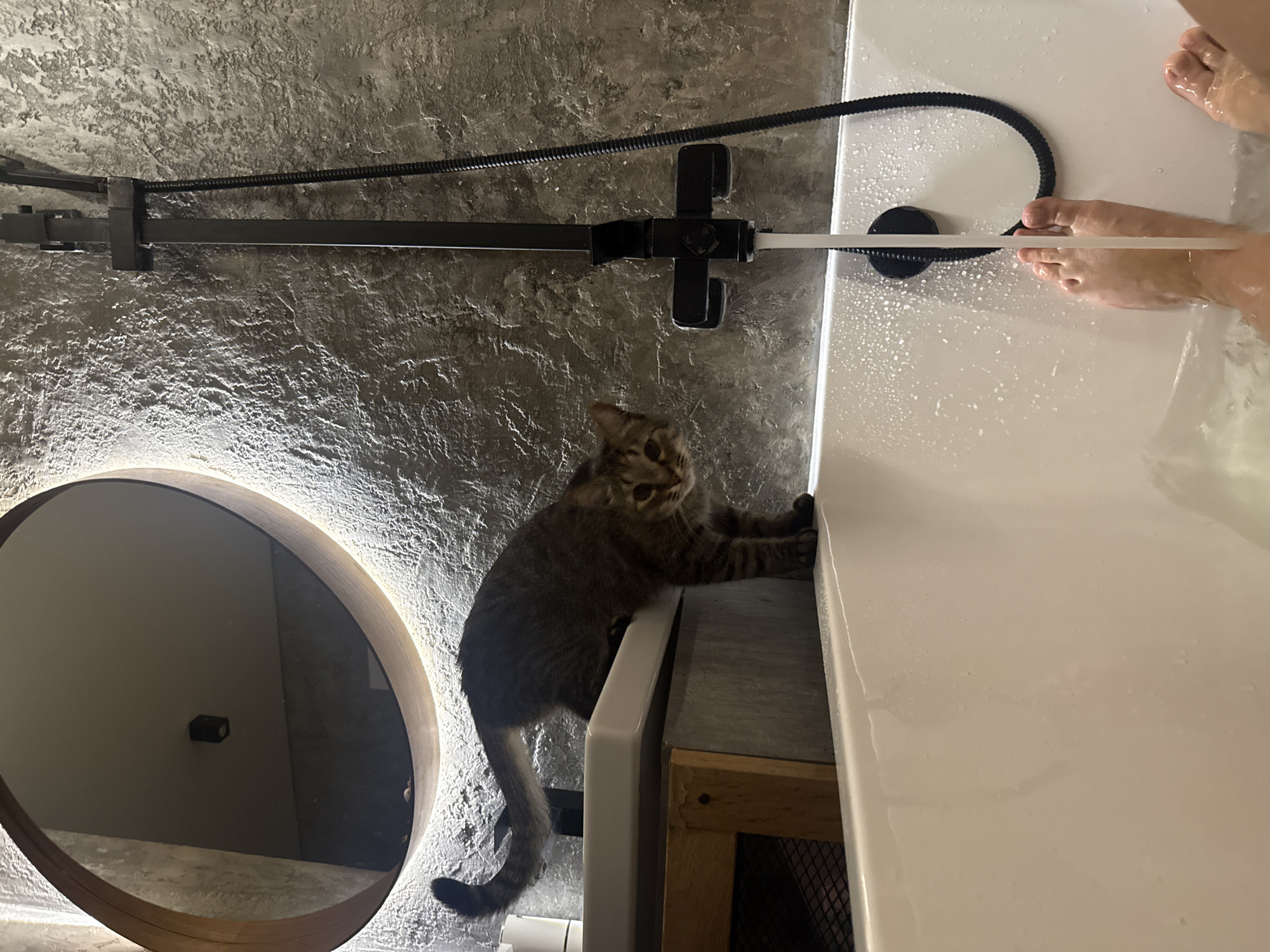 A cat is reaching toward a bathtub. Part of a person's legs are visible in the bathtub. A shower fixture is mounted on the wall. A lighted mirror is also on the wall. The wall is a textured gray. A sink and cabinet are visible below the cat. The location is a bathroom. No information indicates the location is Veliky Novgorod, Russia.