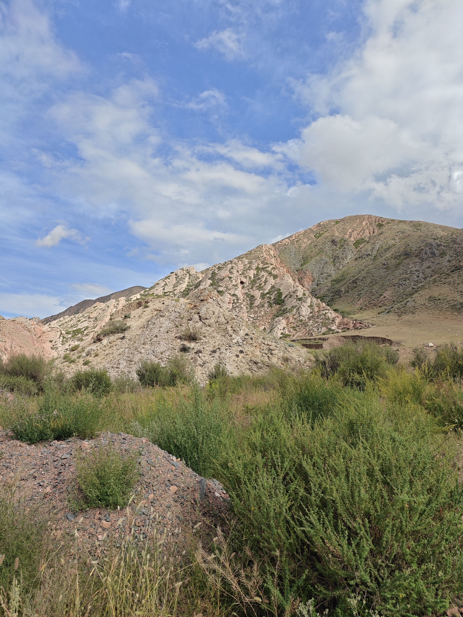The image depicts a mountainous landscape under a partly cloudy sky. The foreground is filled with green shrubs and dry grasses, with a pile of reddish-brown gravel to the left. In the midground, the slopes of the mountains are covered in rocky terrain, with patches of sparse vegetation. The mountains themselves are a mix of light brown, beige, and reddish hues, with visible rock formations and erosion patterns. Some darker green shrubs and trees are scattered across the slopes. In the background, the peaks of the mountains recede into the distance, with the sky above a bright blue with scattered white clouds. The scene appears to be in a natural, undeveloped area, consistent with a rural or wilderness location. This specific vista likely captures a section of the natural environment surrounding Kadji Say, Kyrgyzstan, known for its mountainous terrain and arid landscapes. There are no people or man-made structures clearly visible in the image.