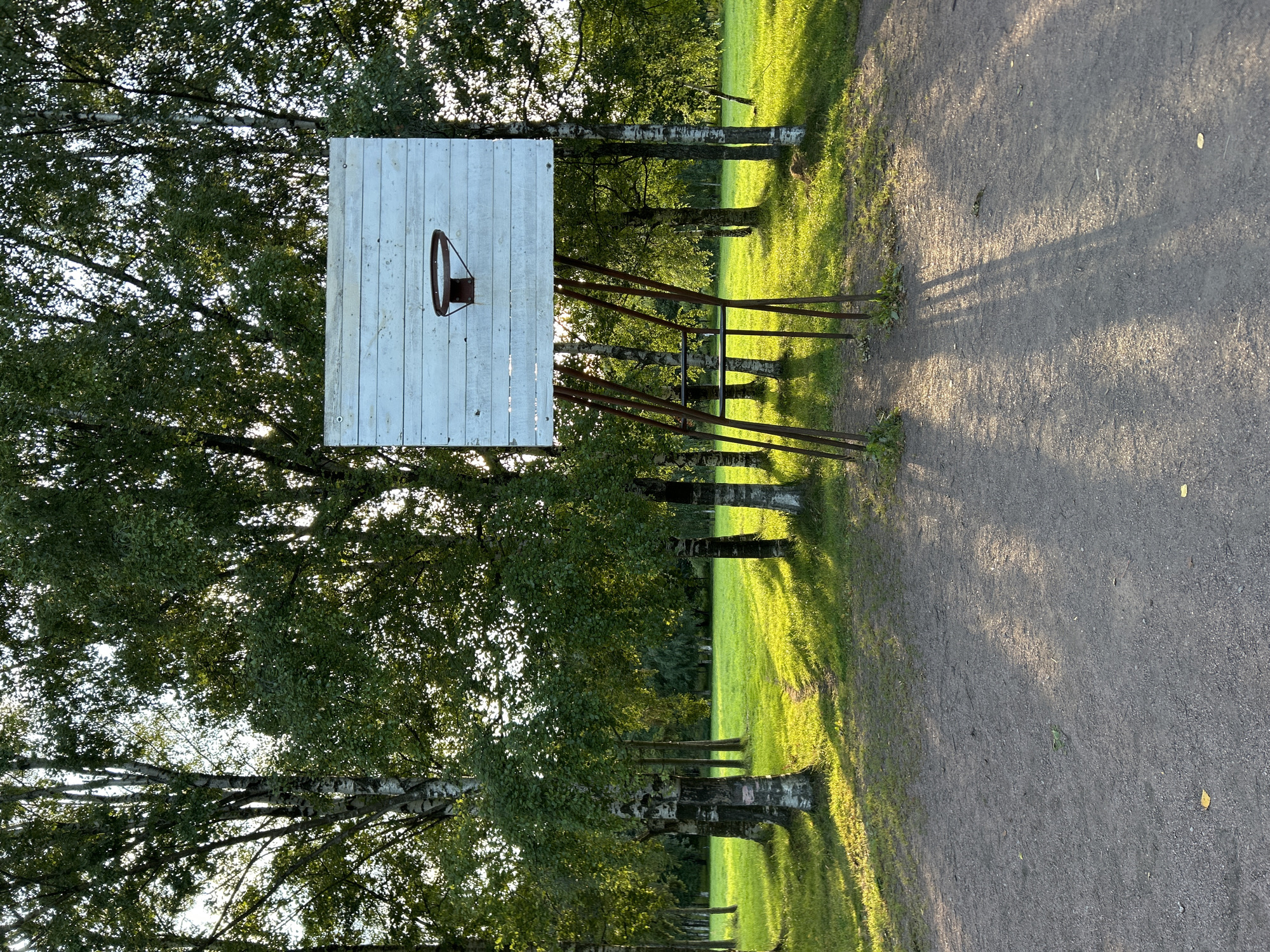 This is a full-shot, outdoor, eye-level photograph of a weathered basketball hoop and backboard set up on a dirt court. The backboard is made of horizontal white wooden planks and has a rusty metal hoop attached. The support structure for the backboard is made of rusted metal poles. The court is surrounded by lush green grass and several tall trees with white bark and green foliage, suggesting a park or a wooded area. The sun is setting, casting long shadows across the court and illuminating the grass with a warm, golden light. The image is captured in landscape orientation. The location is in the city of Unknown, Unknown.
