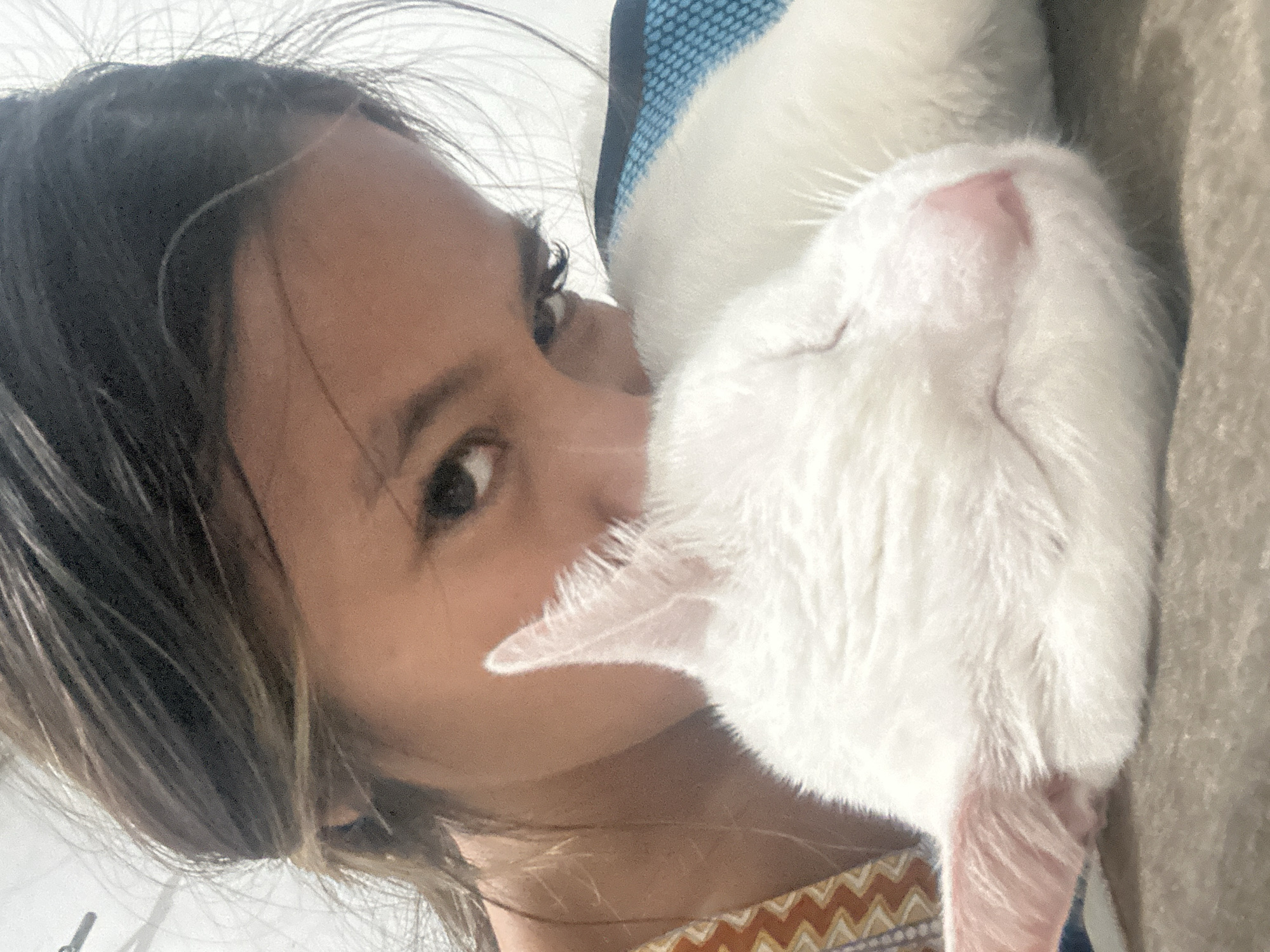 A young woman is holding a white cat close to her face. The cat appears to be resting its head on or near her cheek. The woman is looking directly at the camera with a neutral expression. The background is blurry, suggesting a shallow depth of field. The woman is wearing a patterned top. There is a blue and black object visible behind the cat. The location is not discernible from the image.