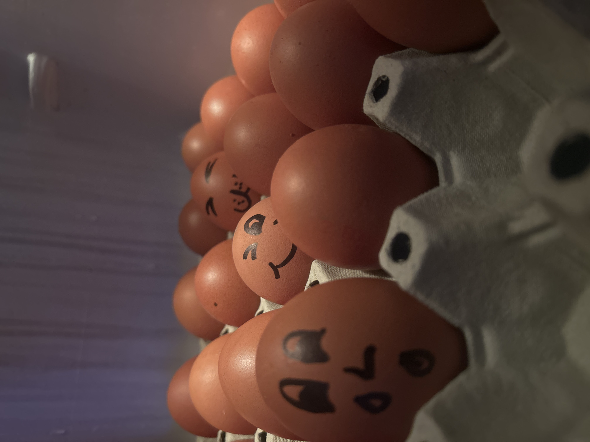 A close-up, angled shot depicts a carton of brown eggs, some of which have faces drawn on them in black marker. The eggs are arranged in a typical cardboard egg carton, which is visible on the right side of the frame. The background is out of focus, suggesting a cool environment such as a refrigerator or cold storage. The specific location and city are indeterminable from this image.