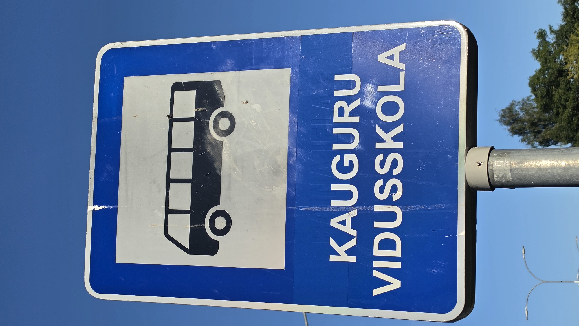 This is a medium-shot, eye-level, outdoor, vertical photograph of a blue and white bus stop sign against a clear, bright blue sky. The sign has a white rectangle with a black silhouette of a bus, with windows and wheels, at the top. Below the bus image, in white text on a blue background, are the words "Kauguru Vidusskola". This translates to "Kauguri Secondary School", indicating the bus stop is likely near or at the school. The sign is mounted on a metal pole. In the background, out of focus, are tree branches and a portion of a street lamp. The sign shows some signs of wear and tear, with scratches and peeling. The image is likely taken in the city of Jūrmala, Latvia, as "Kauguru" is a district within Jūrmala.