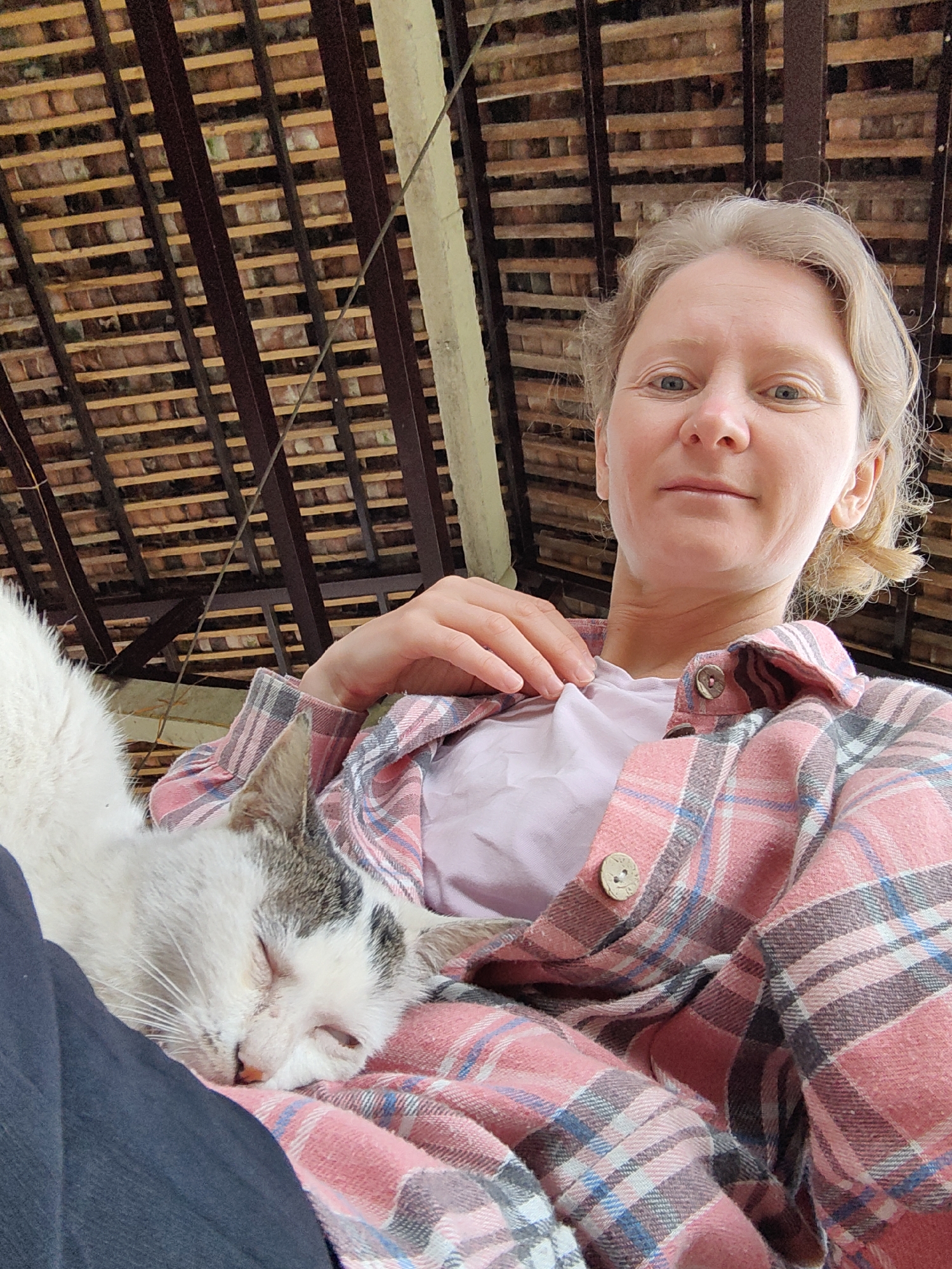 A woman is sitting with a cat sleeping on her lap. She is wearing a pink and blue plaid shirt over a light pink top. Her hand is resting on her chest. The cat is mostly white with some gray markings. The background shows the underside of a roof, with dark beams and wooden supports. The location is Xã Đàm Thủy, Vietnam.