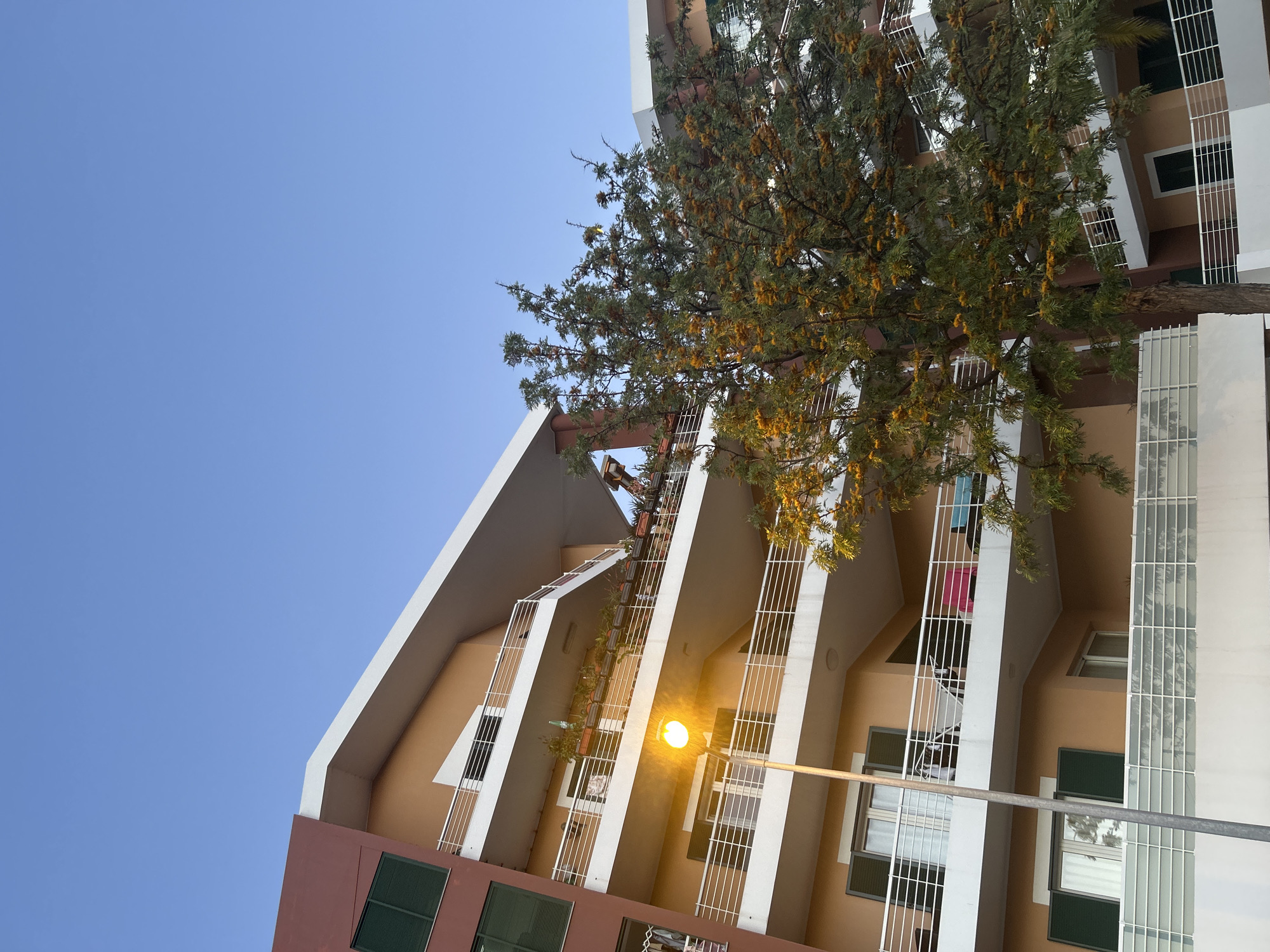 The image depicts a tall, multi-story building in Câmara de Lobos, Portugal. The building features a distinctive architectural design with a combination of beige and reddish-brown exterior walls. The building's façade is accented by white railings and balconies. A tree with green and yellow leaves partially obscures the view of the building. A street lamp stands in the foreground. The sky above is clear and blue.