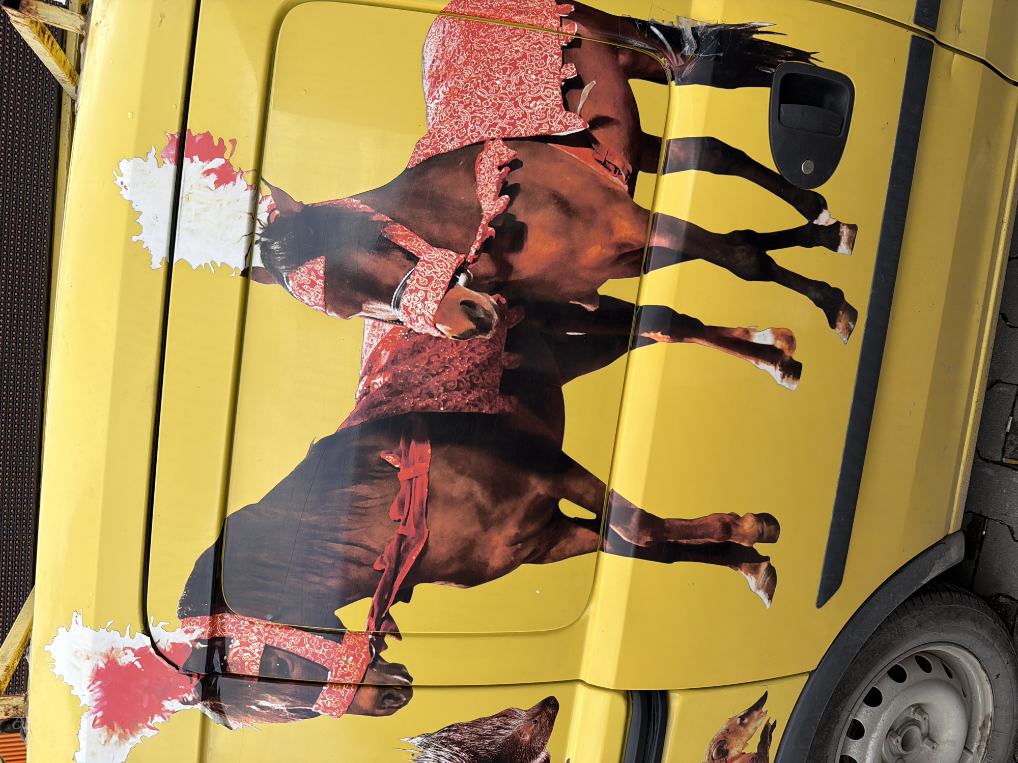A close-up photograph depicts the side panel of a yellow vehicle parked in Chirpan, Bulgaria. The panel features a graphic of two brown horses adorned with red bandana-like accessories. A vehicle door handle is visible on the panel. A partially visible tire and wheel are at the right edge of the frame. Some portions of the horse graphic is damaged.