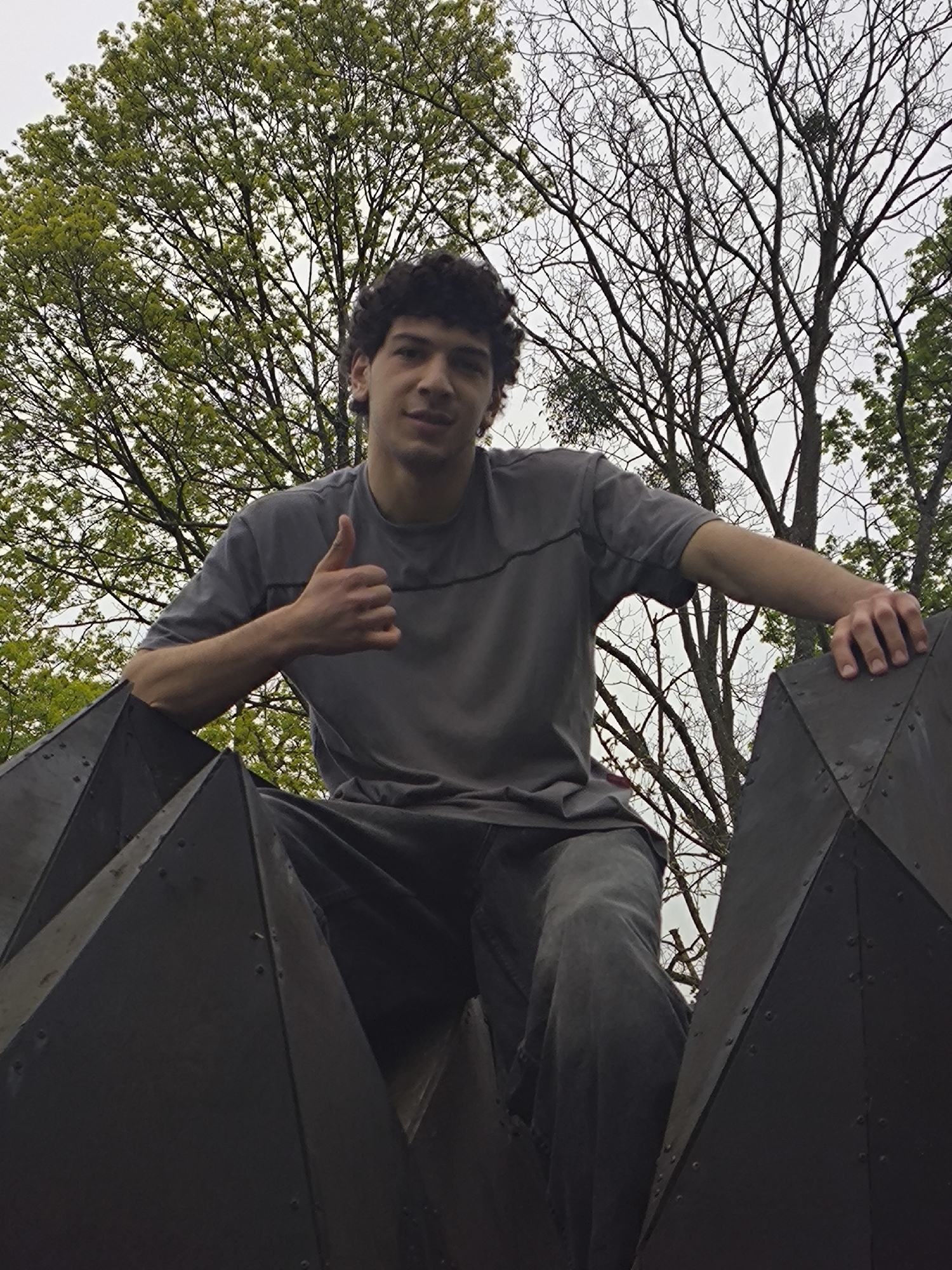 A young man with dark curly hair is sitting atop a large, geometric metal sculpture. He is wearing a gray t-shirt and matching pants. His left arm is extended with a thumbs-up gesture, while his right hand rests on one of the sculpture's metal surfaces. The background features a combination of trees with green leaves and bare branches against a cloudy sky.
The sculpture is located in the city of Strasbourg, France. It's part of a modern art installation, set within a park or outdoor area. The composition and colors suggest overcast weather conditions.