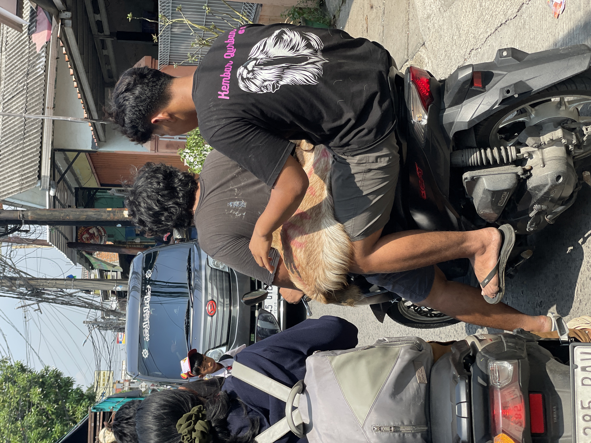 The image depicts two people on a black motorcycle carrying a goat. The person in the back seat is holding the goat. The person on the motorcycle wears a black shirt with a design on the back. Both individuals have dark hair. A minivan is parked behind the motorcycle. The license plate on the motorcycle reads "B 3295 DAU". The scene appears to be in a city setting with overhead wires visible. Based on the license plate and general appearance, the location is likely in North Jakarta, Indonesia.