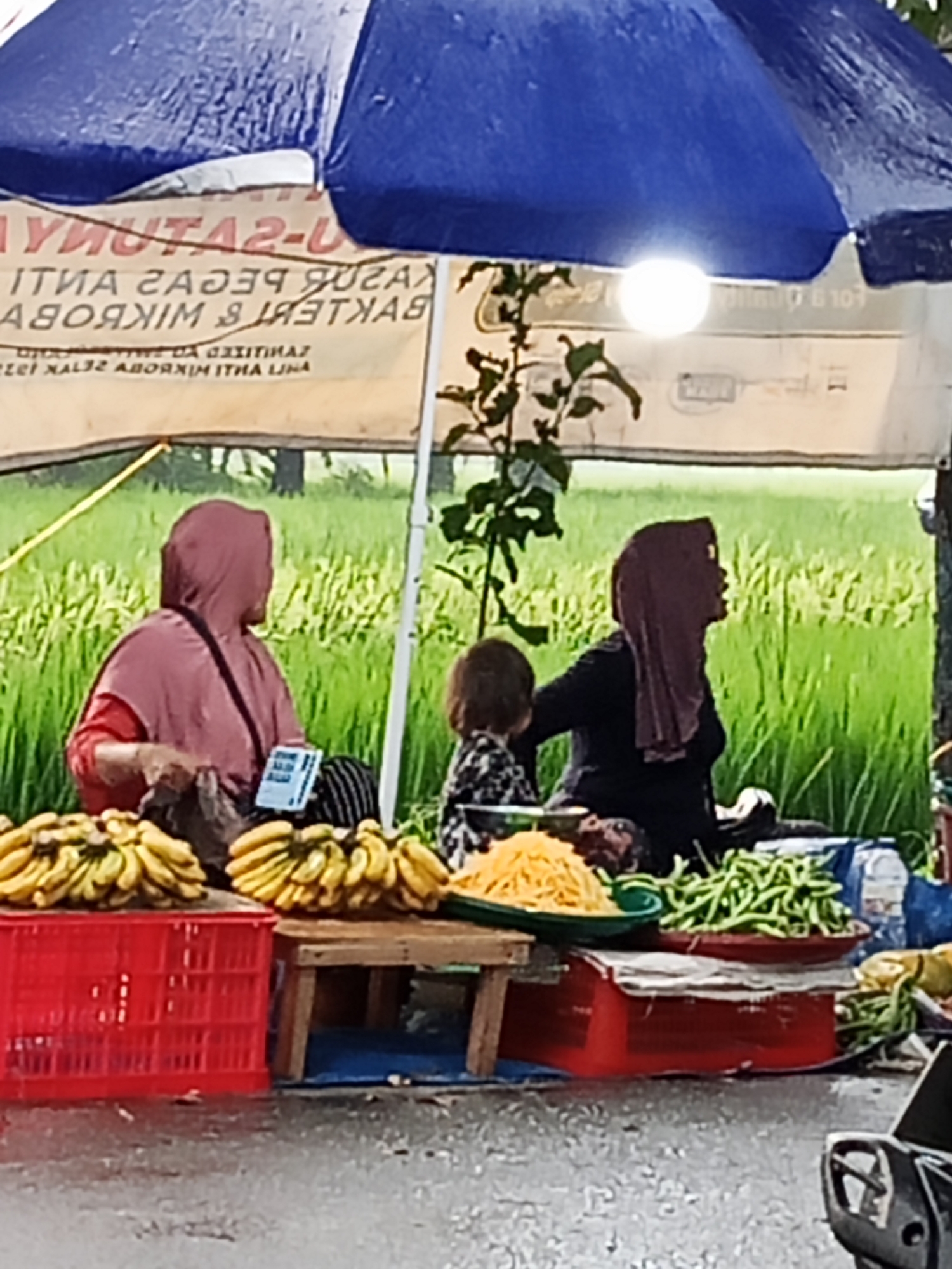 A roadside stall is set up under a large blue umbrella, offering a selection of fresh produce. Two women, both wearing hijabs, are visible, along with a small child. The woman on the left is wearing a pink hijab and a red shirt, while the woman on the right has a dark hijab and a dark shirt. She appears to be speaking. In front of the women are bunches of bananas displayed on a wooden surface. To the right, there are red crates filled with more bananas, and a green tray holding shredded yellow vegetables, possibly unripe papaya or other root vegetables, and a red bowl filled with green beans. The scene is set against a backdrop of lush green rice fields, suggesting a rural or semi-rural location. The ground is wet, indicating recent rain. A white banner with text in Indonesian, likely advertising the produce, is visible behind the stall. The stall appears to be located on the side of a road in Wono Sari, Indonesia, as evidenced by the banner and the common street vending practices in the region.