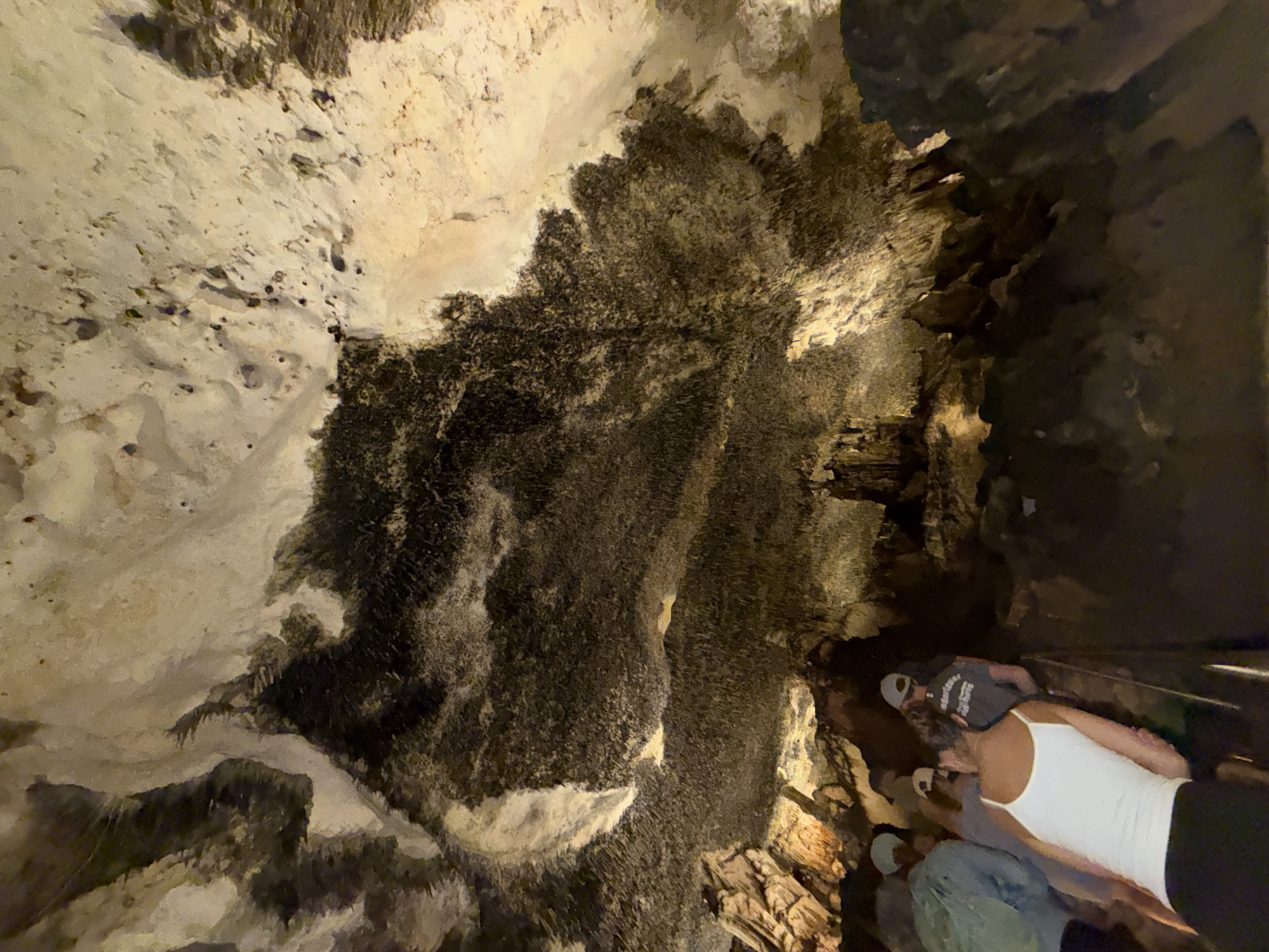 A medium-shot, low-angle photograph shows several people on a path through the Caves of Hams in Manacor, Spain. The cave is lit, revealing rock formations on the walls. The path is built along the cave floor. One person in a white tank top and black pants is partially visible, while others are mostly out of focus.