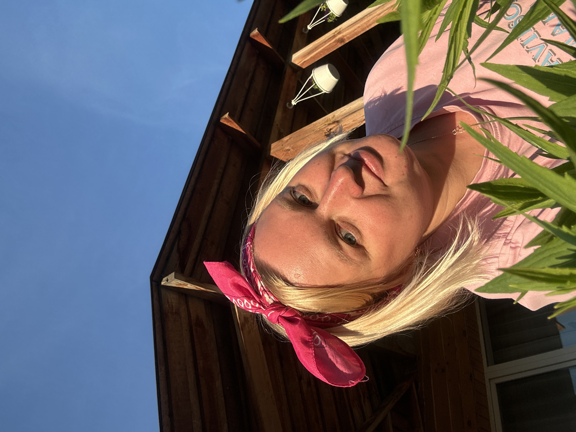 This is a vertical, close-up, selfie-style photograph of a blonde woman with blue eyes and fair skin, wearing a pink bandana and a pink t-shirt. She is looking at the camera with a neutral expression. Green foliage is visible in the foreground, obscuring part of her face and body. In the background, there is a wooden structure with exposed beams and two white hanging planters with green plants. The sky is clear and blue, suggesting daytime. The lighting indicates it is either early morning or late afternoon. The overall impression is of an outdoor, casual setting. There is no visible text in the image.