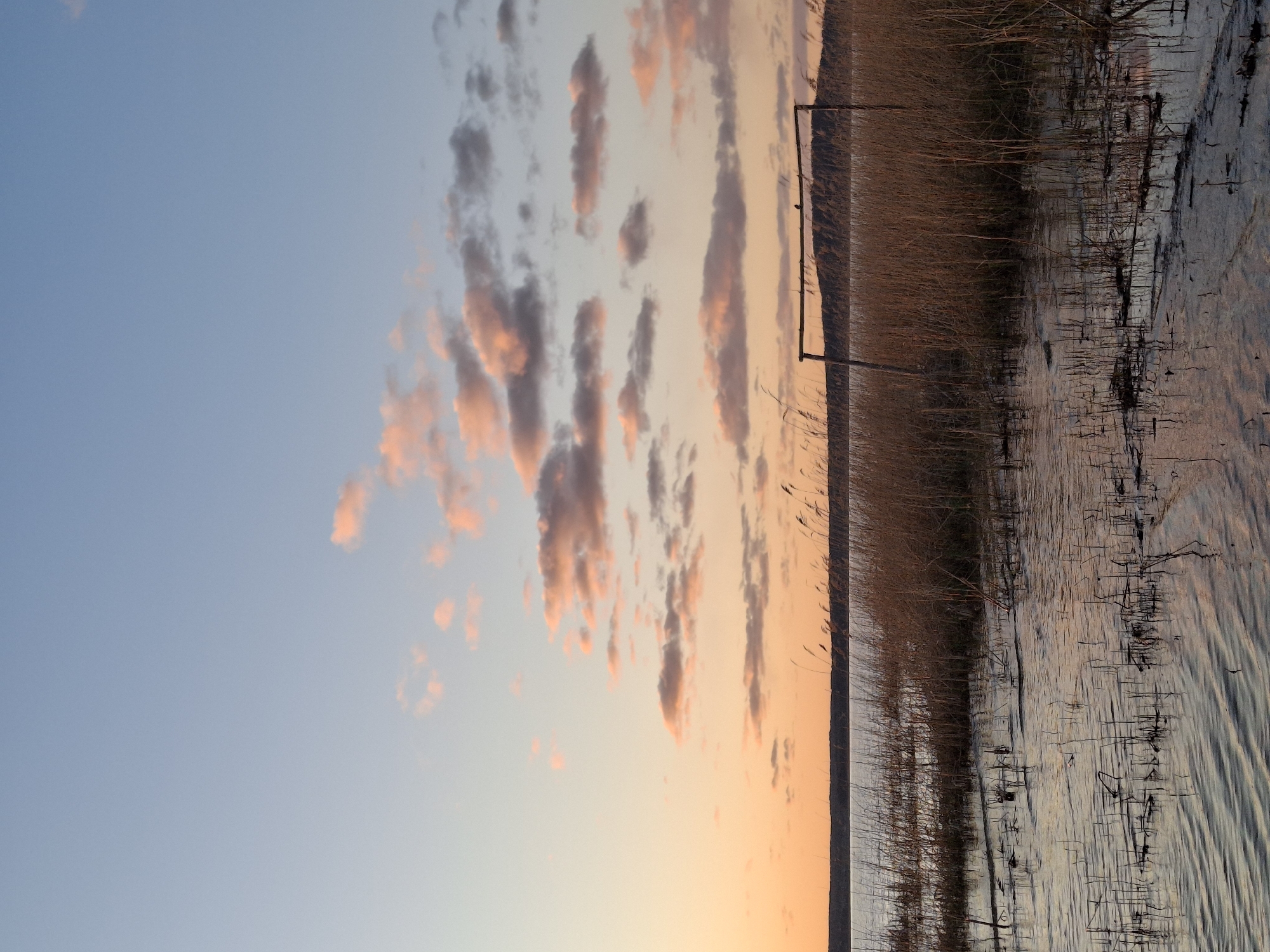 The image depicts a body of water, likely a lake or river, fringed by tall reeds or grasses under a sky transitioning from blue to orange hues, indicative of sunrise or sunset. Elongated clouds with pinkish-orange edges stretch across the sky. A dark, rectangular structure, possibly a wooden frame or gate, stands among the reeds. Thin, dark lines are visible in the water, possibly submerged plants or reflections. The scene may be located near Plishkino, Russia, based on provided context.