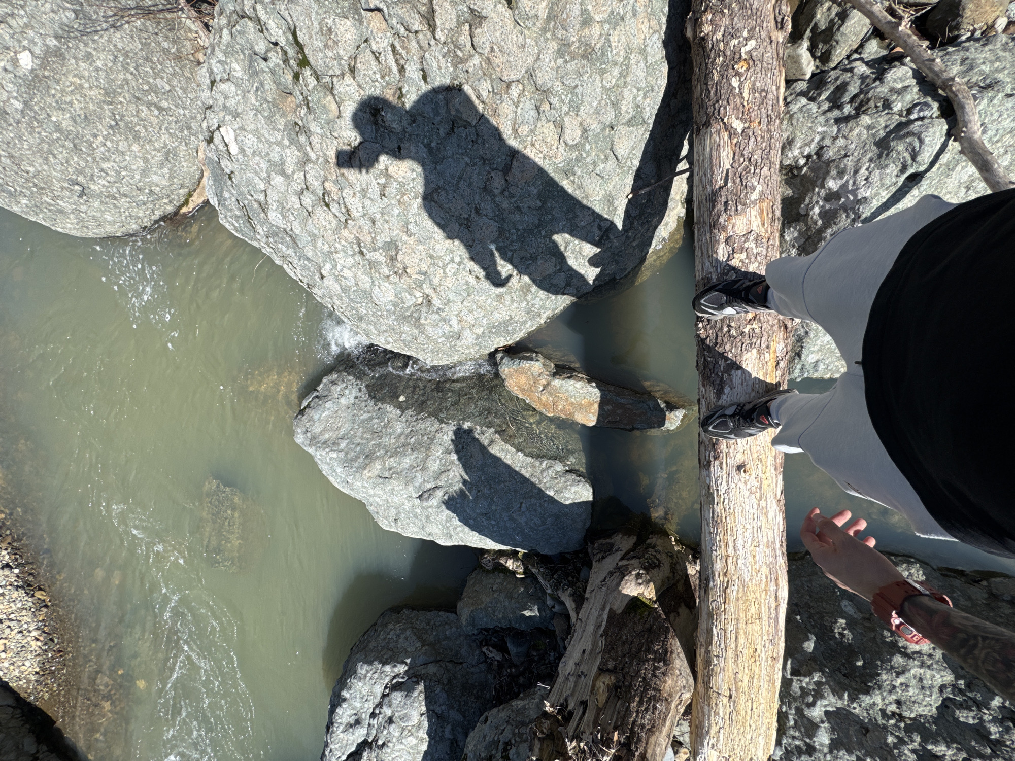 An overhead view depicts a person standing on a natural log bridge spanning a shallow, greenish-brown stream in Fazanovo, Bulgaria. The subject, observed from the mid-torso downwards, wears light grey sweatpants, a black shirt, and black and grey athletic shoes. A red-orange digital watch is present on the left wrist, which also shows evidence of tattoos on the forearm. The subject's shadow, indicative of holding a mobile device for photography, is cast onto a large, lichen-speckled grey boulder situated to the right of the log. The stream flows between and over multiple large, irregular grey rocks, some partially submerged, with additional wood debris and smaller stones evident along the banks. The environment is under direct sunlight, generating distinct shadows.