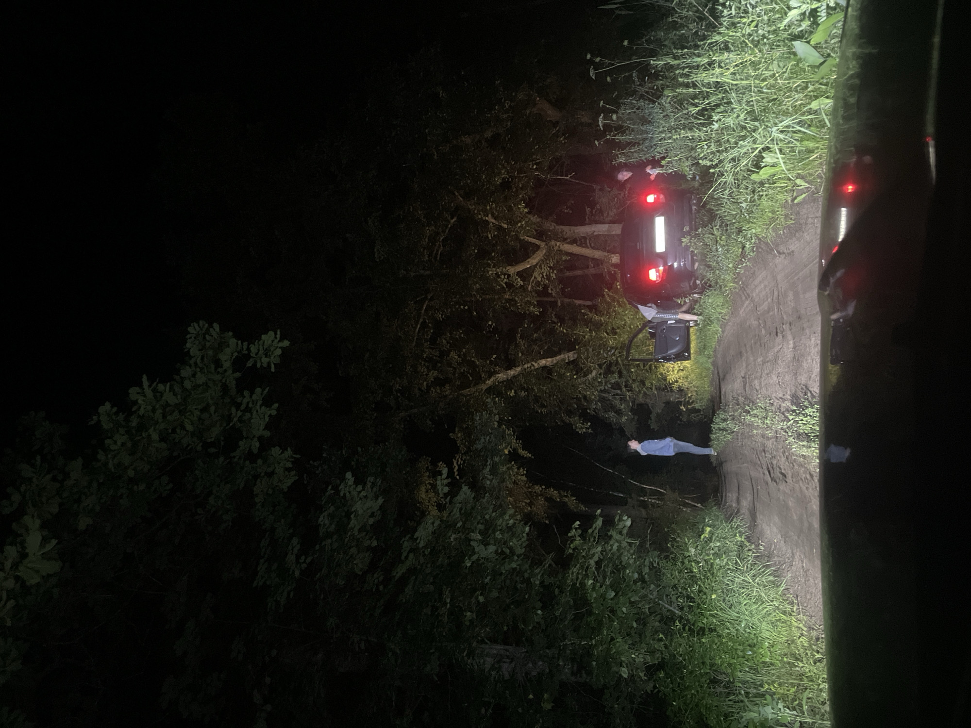 A night-time, low-angle, wide shot captures a dark, dirt road in a wooded area, possibly on the outskirts of Yekaterinovka, Russia. The scene is illuminated by headlights from the viewer's perspective and by the car's taillights. A dark-colored car is parked on the right side of the road with its driver's side door open. Two individuals are near the car, one standing to the left and appearing to be getting into or out of the vehicle, and another to the right, partially obscured by foliage, possibly attending to the car. A third person stands further down the road to the left, facing away from the camera and towards the car. Tall, overgrown grass and trees flank the road, creating a dense, dark, and somewhat isolated atmosphere. The road surface appears wet and muddy in places, indicating recent precipitation or damp conditions.