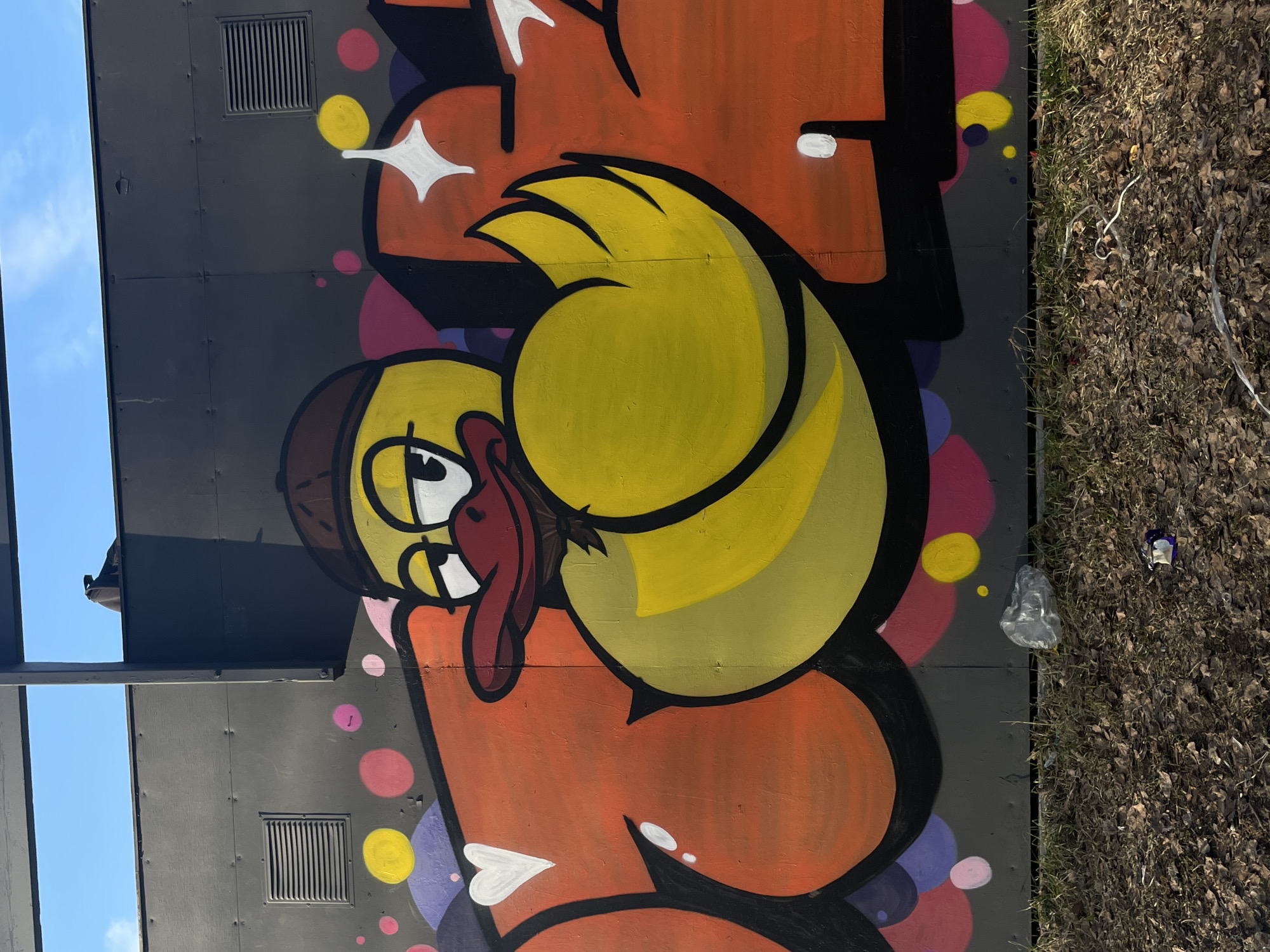 The image captures a vibrant piece of graffiti art on a dark gray or black panelled wall, likely an outdoor structure in Izhevsk, Russia. The central subject is a large, cartoonish yellow character, resembling a duck or bird, wearing a brown cap. It has wide white eyes with black pupils and a long, red tongue sticking out playfully. The character's rounded body is integrated into larger, stylized orange letters, which are outlined in thick black.
The background of the graffiti features various colored circles in pink, yellow, and purple, interspersed with white star-like sparkles. A small white heart shape is also visible on one of the orange letter forms. The wall itself appears to be constructed from panels, indicated by visible seams and rivets, and includes a rectangular vent or grille in the upper left.
To the right of the wall, the ground is covered densely with dry brown leaves and some sparse green grass, suggesting an autumn or early spring season. A few small pieces of litter, such as a crumpled plastic bottle and a wrapper, are visible on the ground. To the left and upper part of the image, a clear blue sky is visible, indicating bright daylight and fair weather conditions. There is no legible text, only the stylized forms of the graffiti letters.