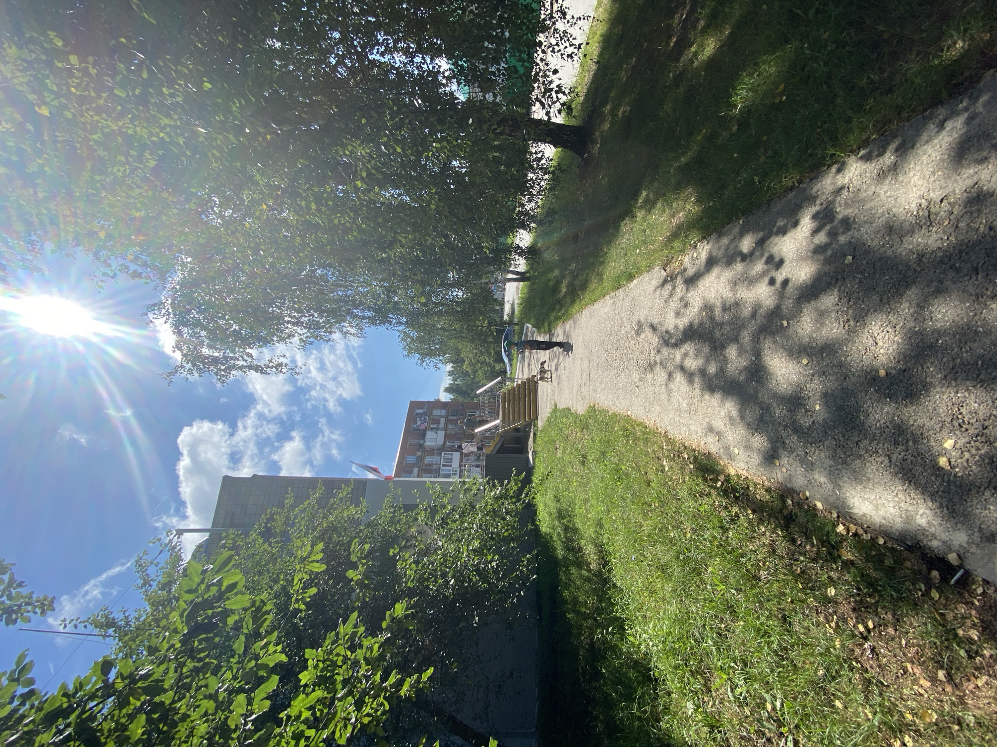 The image captures a sunny day scene on a paved walkway in Noviy, Russia. The walkway is lined with lush green grass and mature trees, with dappled sunlight filtering through the leaves. On the left, a modern apartment building with a light-colored facade and a dark band across its upper section is visible. A Russian flag flies from a pole in front of the building.
Further down the walkway, a set of stairs leads up to the building's entrance, where two individuals are present. One is a person wearing a dark shirt and pants, walking towards the building. Accompanying them is a small, light-colored dog on a leash. In the background, another, taller building with balconies and an orange facade is visible.
On the right side of the walkway, several tall birch trees with white bark and green leaves create a shady canopy. The sun is intensely bright, creating lens flare and a starburst effect in the sky, which is a vibrant blue with scattered white clouds. The overall atmosphere is one of a pleasant, everyday moment in a residential urban environment.