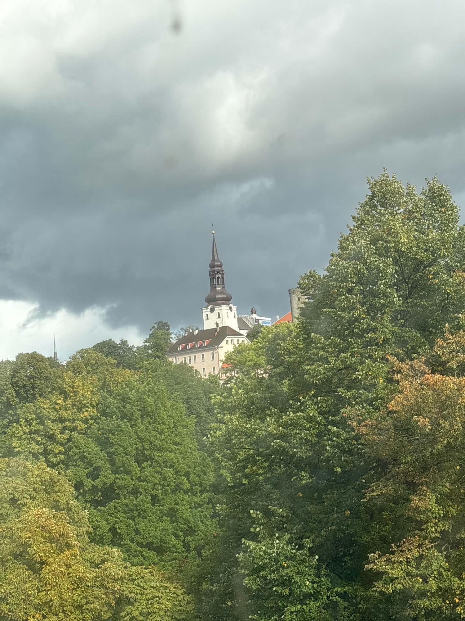 The image depicts the iconic St. Olaf's Church (Oleviste kirik) in Tallinn, Estonia, seen from below, partially obscured by lush green trees. The church's tall, dark spire with a golden finial dominates the upper center of the frame, set against a dramatic, overcast sky filled with dark, heavy clouds. Below the spire, the white facade of the church building is visible, with a red-tiled roof and several windows. To the left of St. Olaf's, another, smaller spire, possibly belonging to the Dome Cathedral (Toomkirik), is faintly visible above the trees. The foreground and middle ground are densely packed with trees in various shades of green, with some hints of yellow and brown foliage, suggesting the season is transitioning towards autumn. The trees create a natural frame around the historical buildings, giving a sense of depth and a perspective from a lower vantage point within the city. No people or specific actions are discernible in the image, which focuses on the architectural and natural landscape.