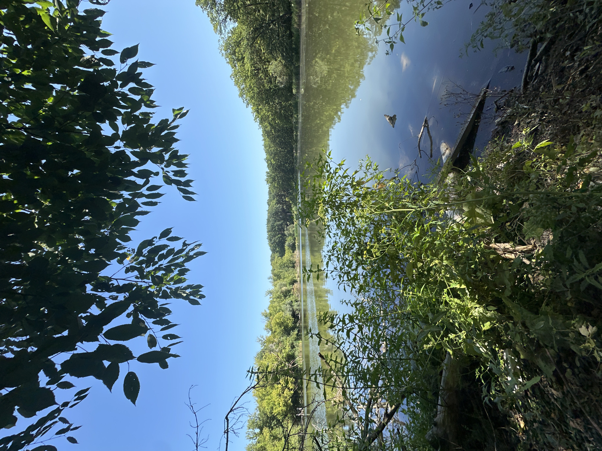 This image depicts a serene natural landscape, likely a lake or riverbank, set against a clear blue sky. The foreground is dominated by lush green foliage and branches from trees, some of which are silhouetted against the sky. These elements frame a view of a tranquil body of water. The water reflects the surrounding greenery and the sky, creating a sense of depth and calm. On the opposite bank of the water, a dense line of trees forms a natural barrier, with their leaves appearing green and vibrant, suggesting a temperate season. The overall atmosphere is peaceful and untouched, indicative of a natural reserve or a secluded area within a park. While the location is stated to be Makiv, Ukraine, there are no discernible man-made structures or identifiable landmarks that would specifically pinpoint this exact location within the city. The scene is devoid of human presence or any overt signs of activity.