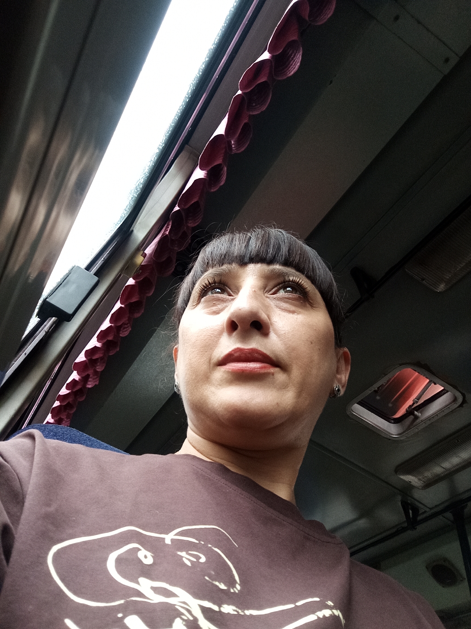 A low-angle, medium shot captures a woman from the chest up, looking upwards. She has dark hair with a blunt fringe and is wearing a brown long-sleeved shirt with a white outline of an elephant design. Her expression is neutral, and she is wearing small earrings. The background suggests the interior of a vehicle, possibly a bus or train, with a bright light source above and to the left, a decorative red, scalloped trim along the ceiling, and a small, open skylight with red reflections visible. The overall lighting is dim, with the primary light source creating strong highlights and shadows.