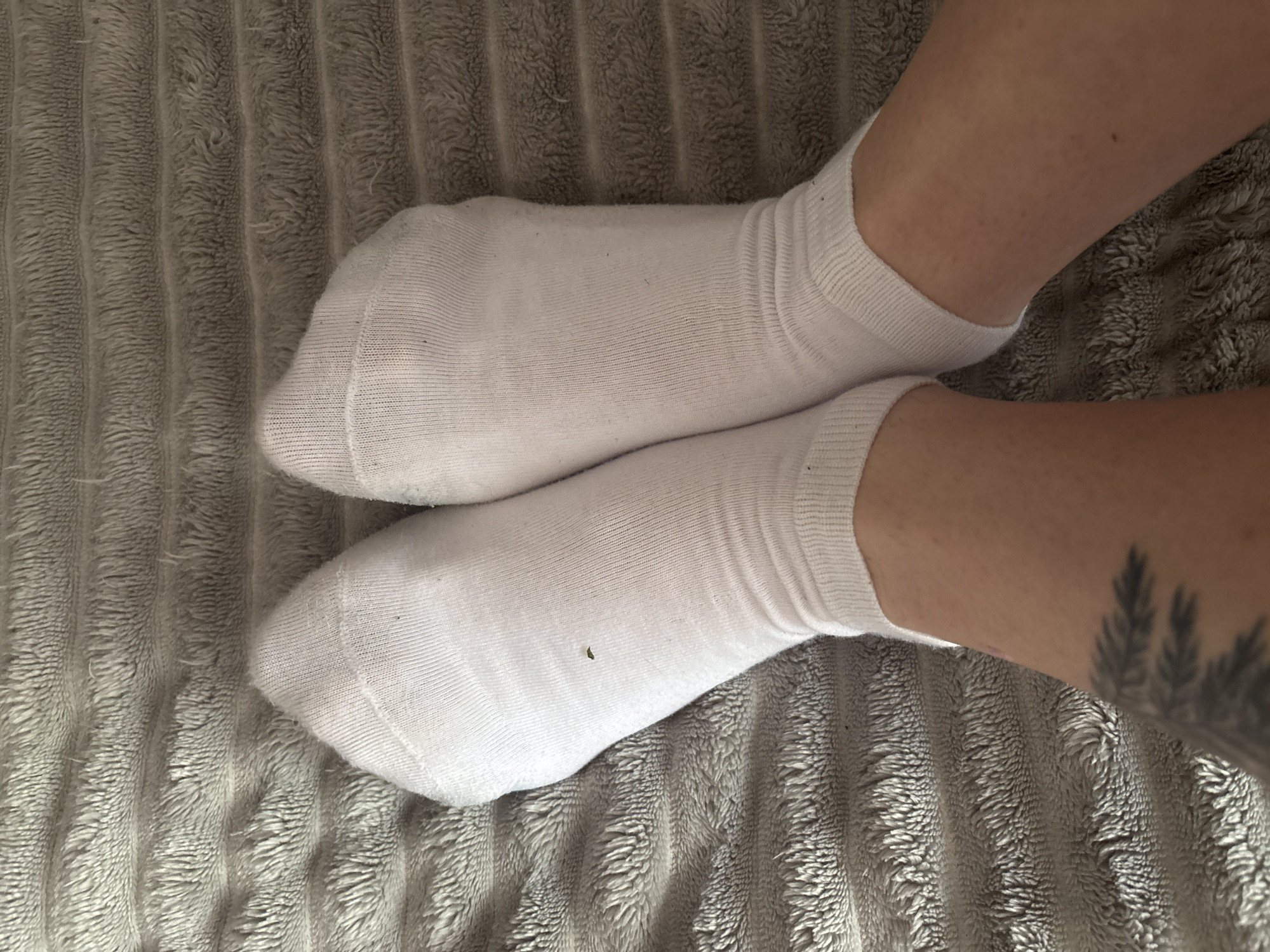 The image shows a close-up view of a person's feet wearing white ankle socks. The feet are resting on a gray, textured blanket. The socks appear to be made of cotton and have a ribbed cuff. There is a small dark speck on the surface of the left sock. The skin of the lower legs is visible below the socks and has some light hair. A tattoo of foliage is partially visible on the left leg. The lighting suggests an indoor setting. No specific location in Krasnoyarsk, Russia can be identified from the image.