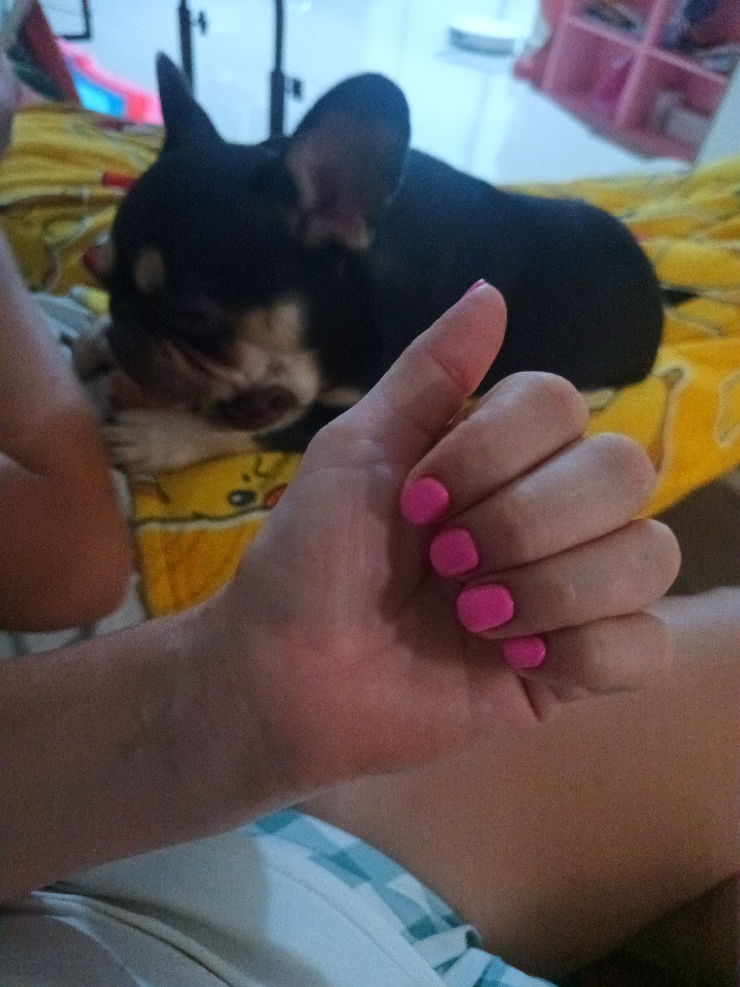A person is holding up a hand with bright pink painted nails. A black and tan French Bulldog is resting on a yellow Pikachu-patterned blanket. The person is wearing white and blue plaid shorts. Behind the dog is a blurred background of furniture. The location is Ban Nong Khon, Thailand.