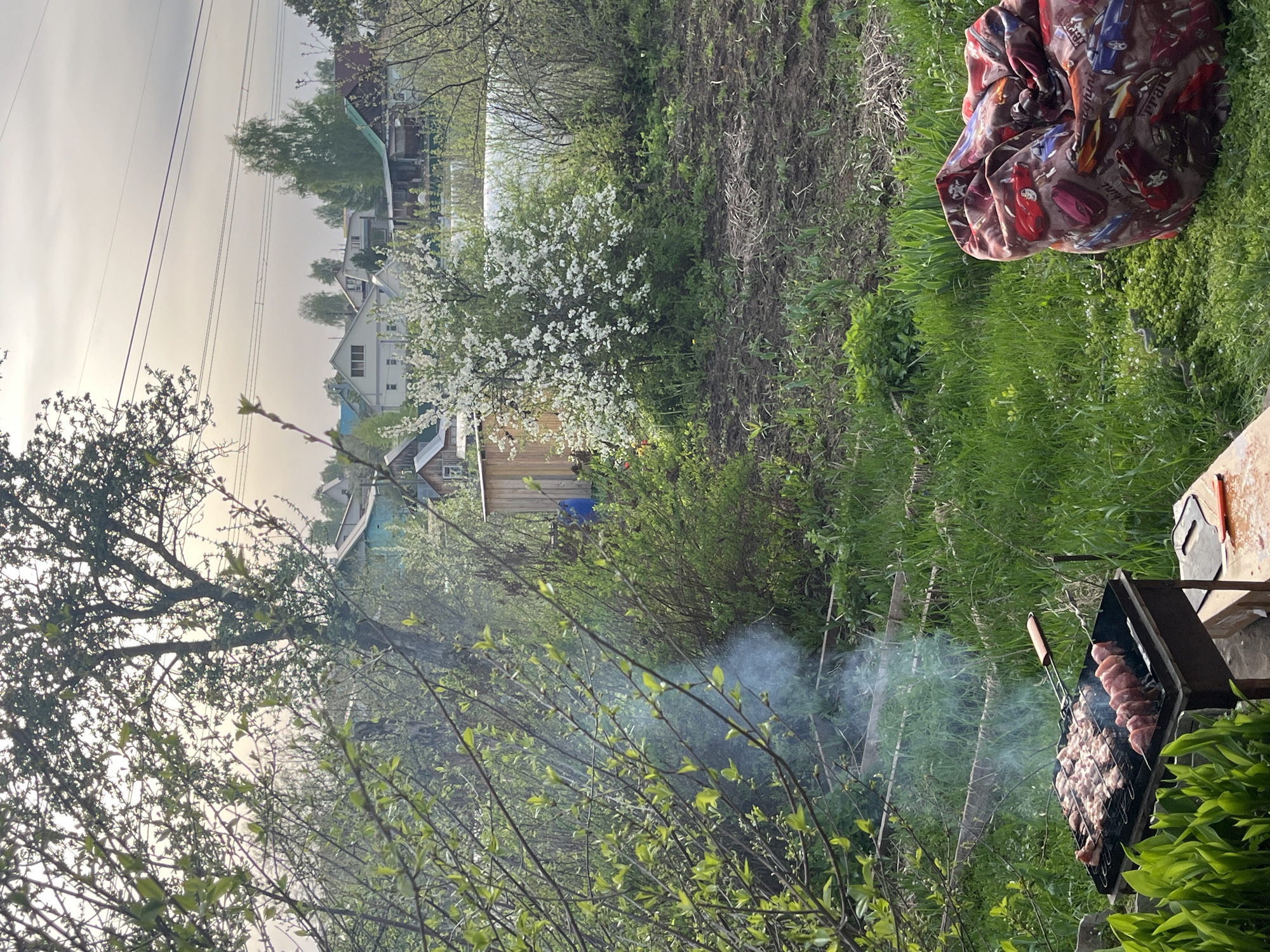 The image shows a barbecue being cooked in a yard in what appears to be Chaikovsky, Russia, based on the typical architecture of the houses in the background. The grill is full of meat skewers, and smoke is rising from the coals. In the background, there are houses and greenery. To the right, there is a patterned beanbag chair on the grass.