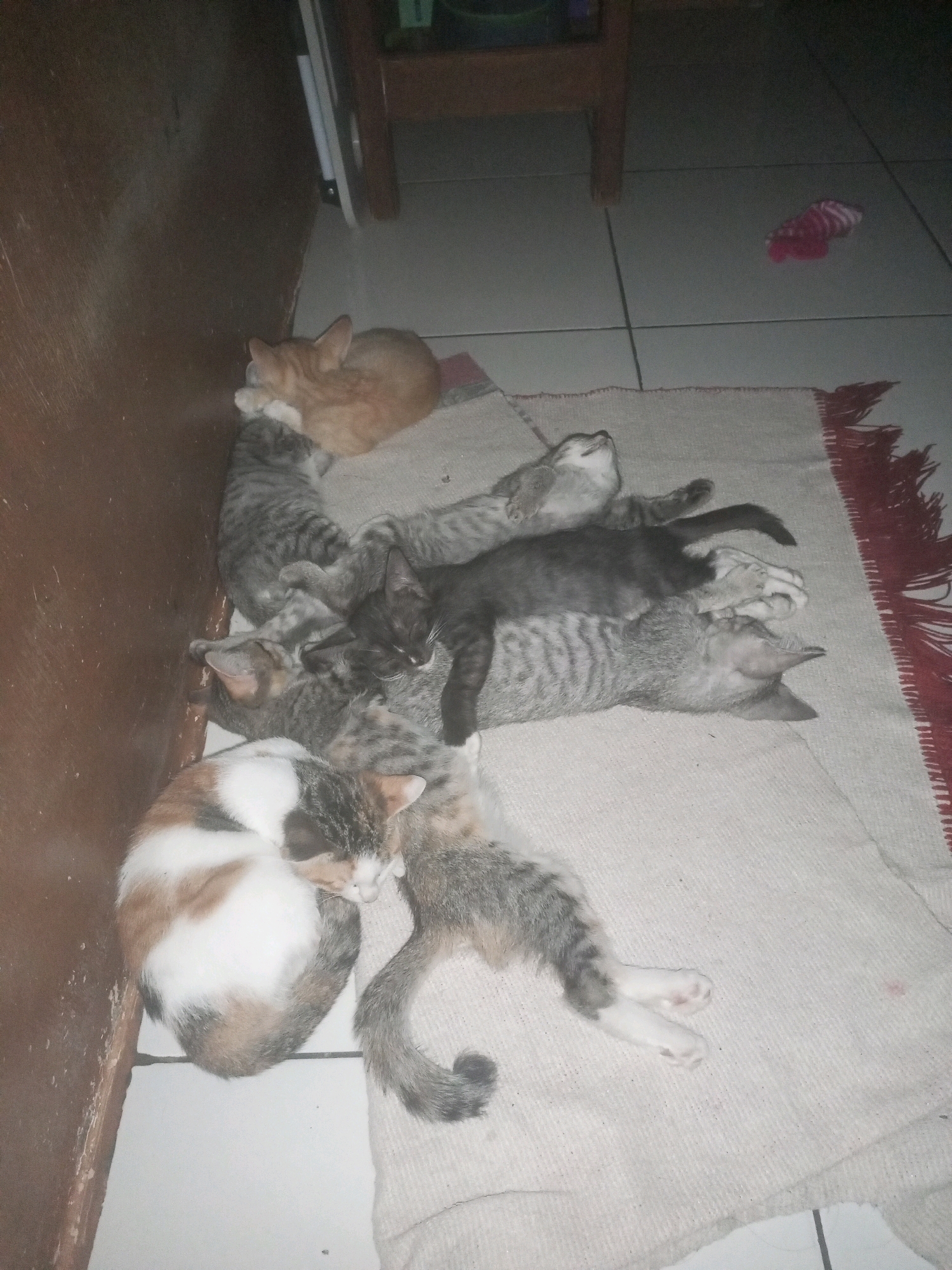 Memory