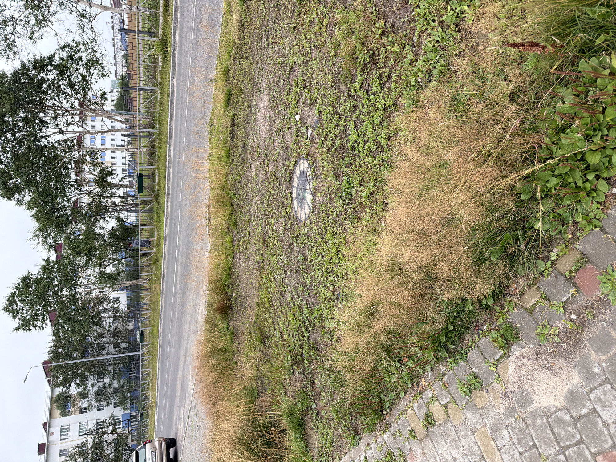 In the city of Okha, Russia, a street view captures a paved walkway bordering an undeveloped grassy area. The walkway is constructed of interlocking gray and red pavers, with small green plants growing between them. Beyond the walkway, the undeveloped area is covered in patchy green vegetation and dry, brown grass. In the center of this area, a circular metal manhole cover is visible. A paved road runs parallel to the walkway, with a metal fence separating the two. Behind the fence, trees with green foliage stand in front of multi-story buildings. A gold-colored car is parked on the left side of the road. A woman in a gray coat walks along the sidewalk, facing away from the camera. The sky is overcast.