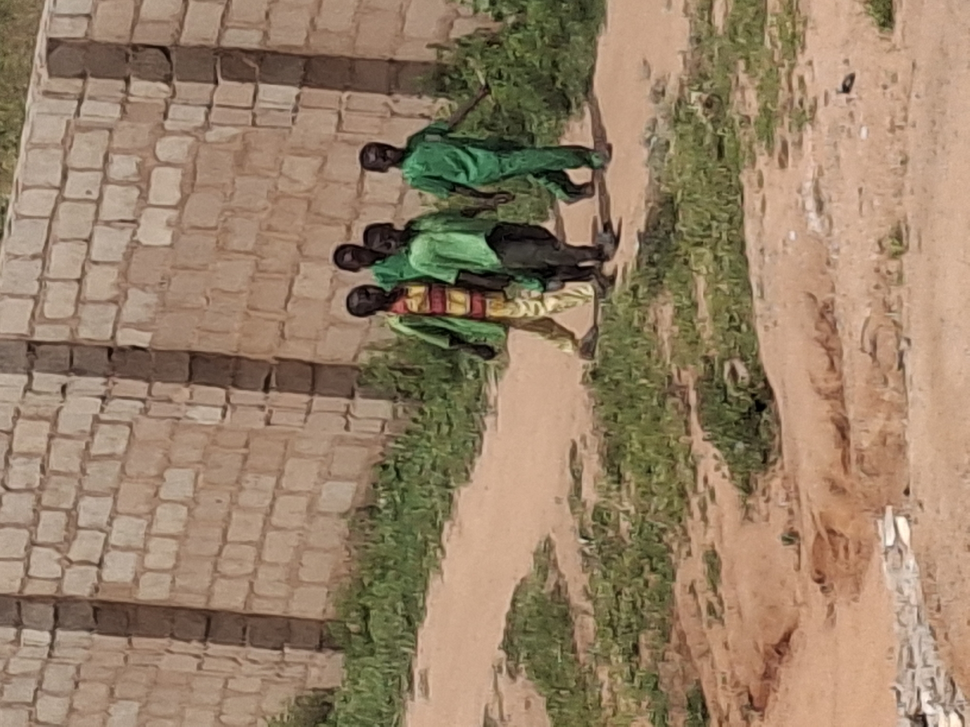 Four young boys walk on a dirt path next to a brick wall and sparse green vegetation in Tumfure, Nigeria. The boy on the far left wears a green jacket over a striped shirt and light-colored pants. The next boy, slightly behind, wears a green shirt and dark pants. The third boy from the left is in a green shirt and dark pants. The boy on the far right is dressed in a green shirt and green pants. The background consists of a light-colored brick wall. The ground is sandy dirt with patches of green grass and weeds.