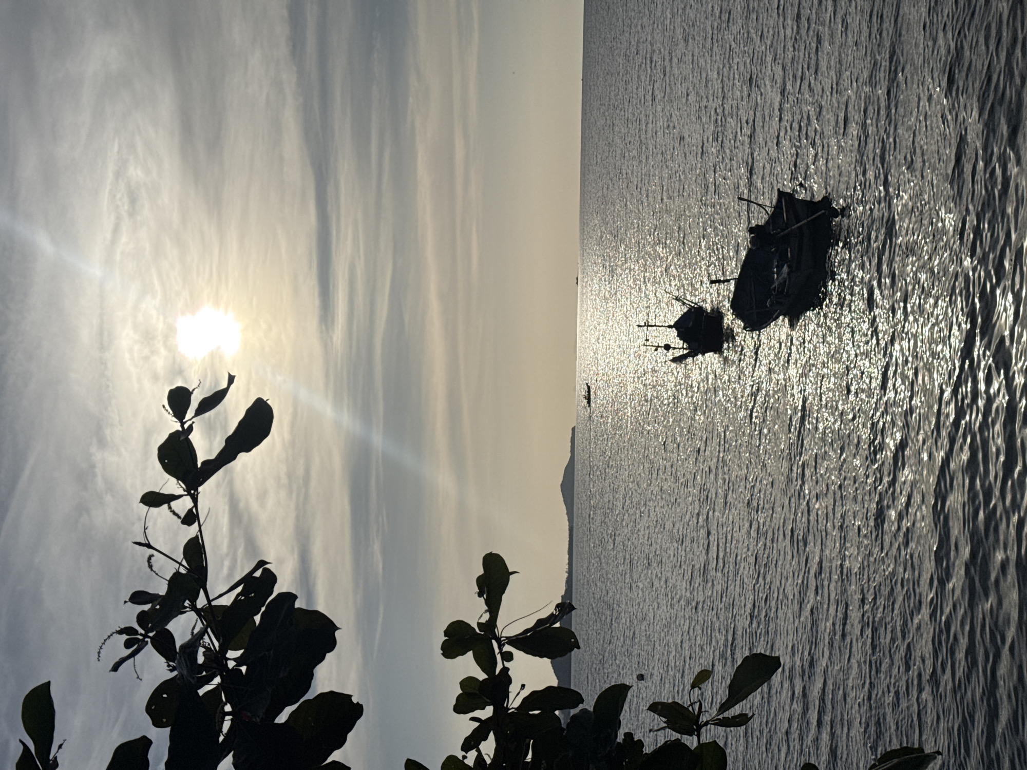 This image depicts a serene seascape on Ko Samui District, Thailand, during what appears to be sunset. In the foreground, silhouetted against the luminous sky, are the dark leaves and branches of a tree. The sun, partially obscured by thin clouds, casts a brilliant reflection on the rippling surface of the ocean. Two small boats, also in silhouette, are anchored in the water, with one closer to the viewer and the other further out. In the distance, a faint outline of a coastline with hills is visible. The overall atmosphere is tranquil and peaceful, with the fading light creating a soft, ethereal glow across the water and sky.