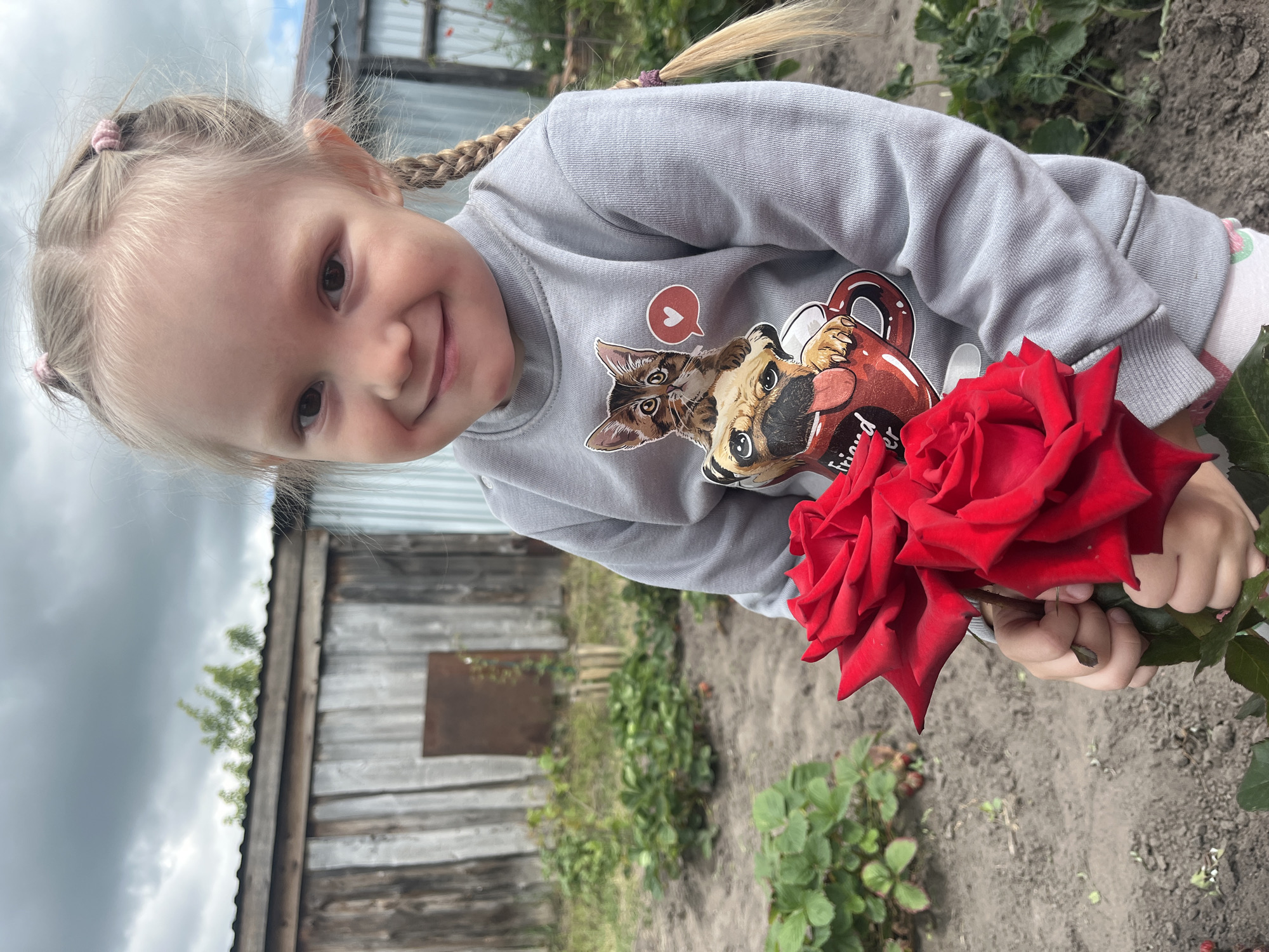 A young Caucasian girl with blonde hair in pigtails and a braid holds two red roses in a garden. She is wearing a grey sweatshirt with a graphic of a cat and a pug in a mug. The background shows a wooden fence, a corrugated metal structure, and green plants in the soil, suggesting a rural or suburban outdoor setting. The sky is overcast. The girl is smiling at the camera. The location is identified as the village of Sukhinskoe, Russia.