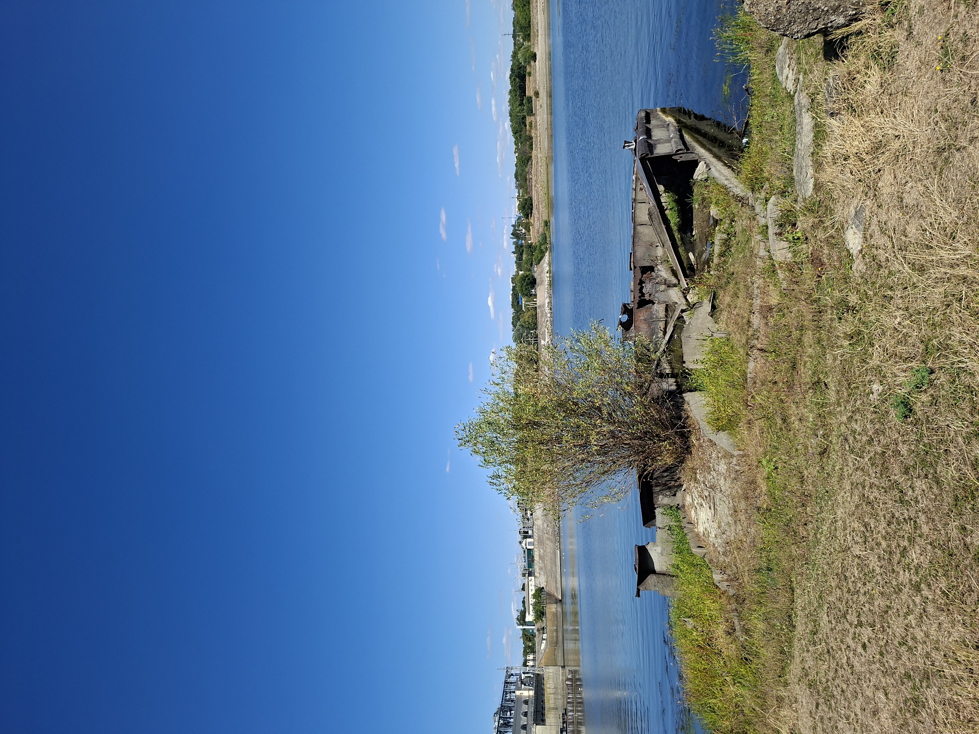 The image shows a wide, calm river under a clear blue sky. In the foreground, on the grassy bank, are the remnants of a disused barge or pontoon, made of rusted metal and concrete. A bush with green leaves grows from the barge. Further back, across the river, a concrete dam structure is visible, with industrial buildings and machinery. The opposite bank is lined with trees and some buildings, suggesting a developed area. The scene depicts a waterfront with signs of industrial history and natural overgrowth. The location is the city of Ustia, Moldova.