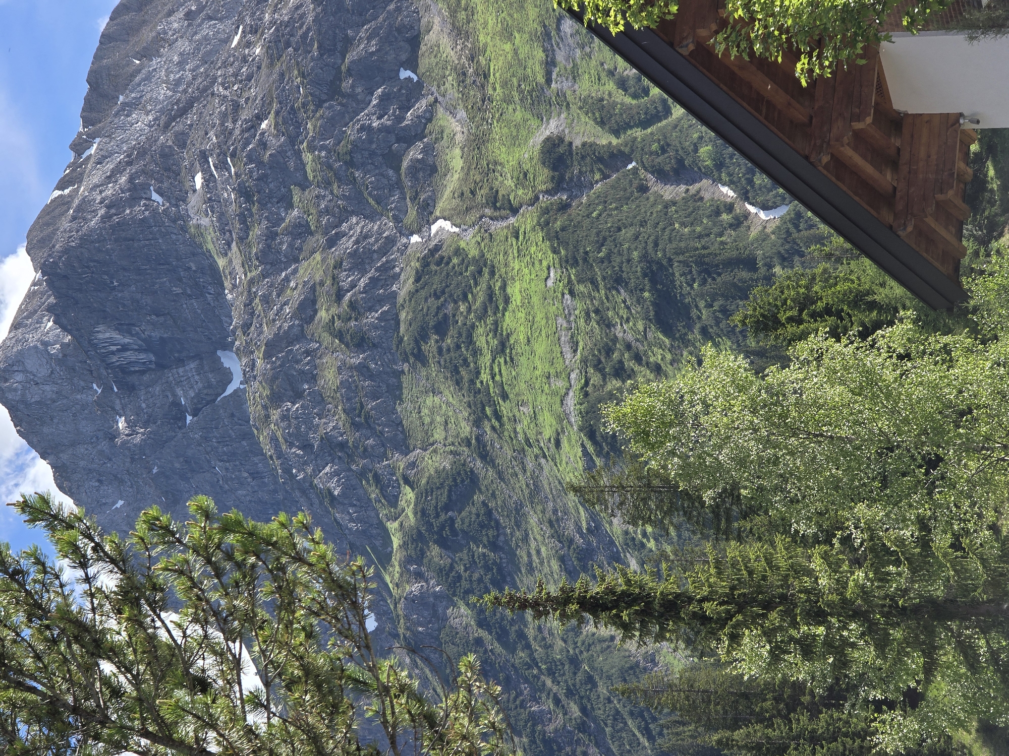 This is a vertical, medium-shot, eye-level photograph capturing a majestic mountain range in the background. In the foreground, a portion of a wooden-roofed structure is visible in the lower right corner, with its eaves and exposed wooden beams. To the left of this structure and also in the foreground, lush green pine branches with needles are prominent. The mid-ground is dominated by a steep, rocky mountain slope covered in patches of green vegetation and some lingering snow. Several evergreen trees, including a tall, dark green fir tree, are scattered across the lower part of the mountain. The sky above is a clear blue with a few wispy white clouds. The overall scene evokes a sense of natural grandeur and a remote mountain setting. The location is identified as Lech, Austria. There are no people or animals present in the image, and no actions or interactions are depicted. The image focuses on the natural landscape and architectural elements.