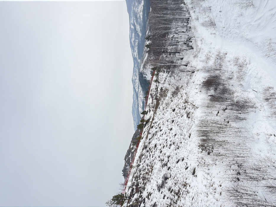 This image depicts a snow-covered mountainous landscape in Novoabzakovo, Russia, under an overcast sky. The scene is dominated by a large, steep slope on the left, partially covered in white snow with visible patches of dark, sparse vegetation and rocky outcrops. A prominent red safety net or fencing runs horizontally along the upper portion of this slope, suggesting a designated recreational area. Scattered coniferous trees with dark green foliage are visible on the upper left slope, interspersed with some bare deciduous trees.
To the right, a valley floor and a gentler incline are densely forested with numerous bare-branched deciduous trees, resembling birch, which stand out against the white snow. Further in the background, multiple undulating mountain ranges, also dusted with snow, extend towards the horizon under the pale, uniform sky. The foreground features additional sparse, bare vegetation poking through the snow. No individuals, animals, or active interactions are visible. The environment indicates a cold, winter season.