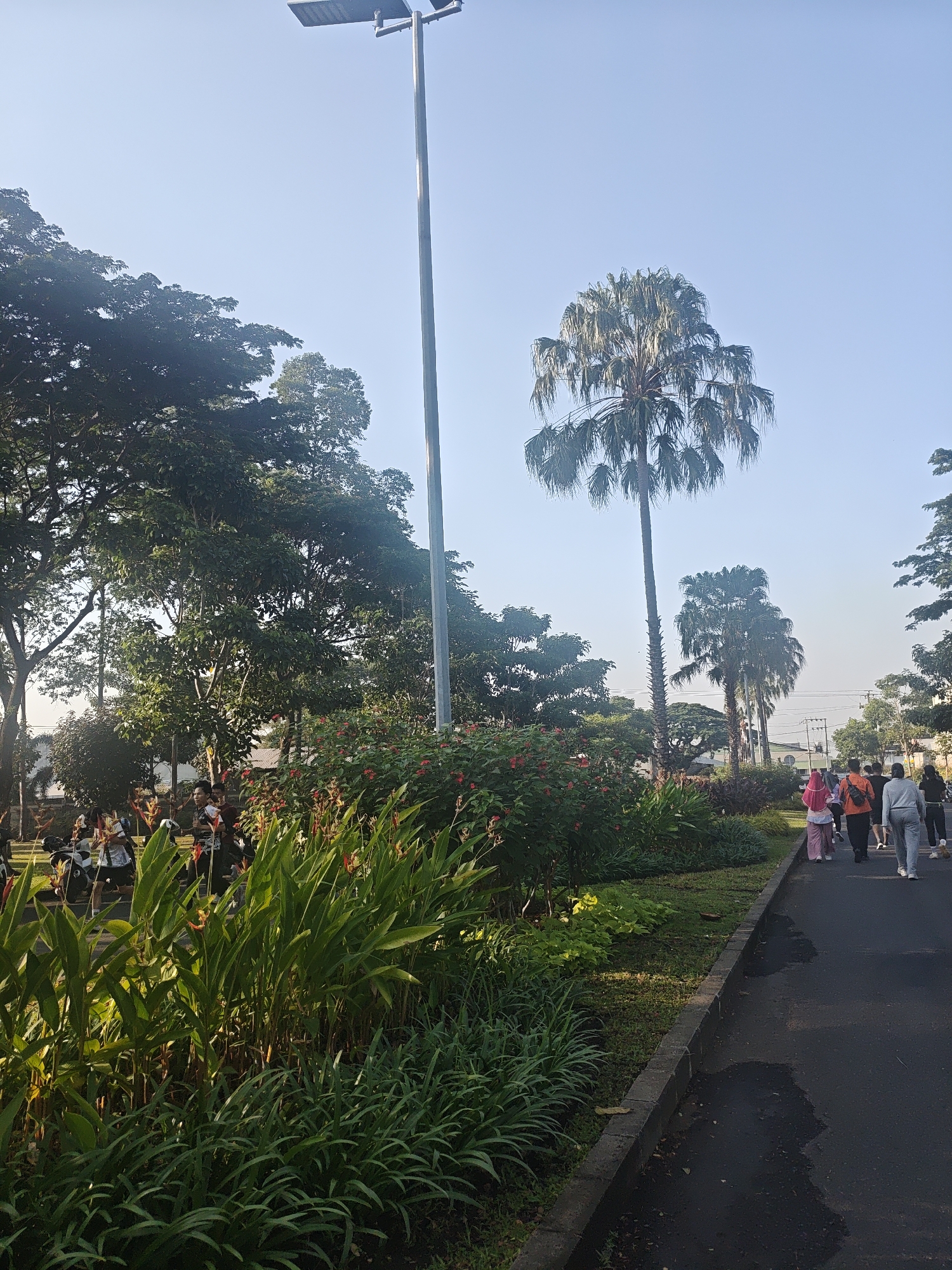 The image depicts an outdoor scene in Bacin, Indonesia, likely a park or recreational area, with a clear blue sky. A tall lamppost with a rectangular fixture stands prominently on the left side of the frame, next to dense green foliage and trees. Several people are walking on a paved path to the right of the foliage. The group consists of at least seven individuals. One person in the foreground wears a pink headscarf and a light pink shirt with a light-colored bottom. To their right, another person is dressed in an orange shirt and dark pants. Following them are individuals in dark clothing and a person in a light gray tracksuit. The path is bordered by a curb and a strip of grass and vegetation, which includes flowering plants with red blossoms and tall green plants with large leaves and orange-red flowers. In the background, more trees are visible, along with some buildings and possibly power lines. The lighting suggests it is daytime, possibly morning or late afternoon, given the long shadows.