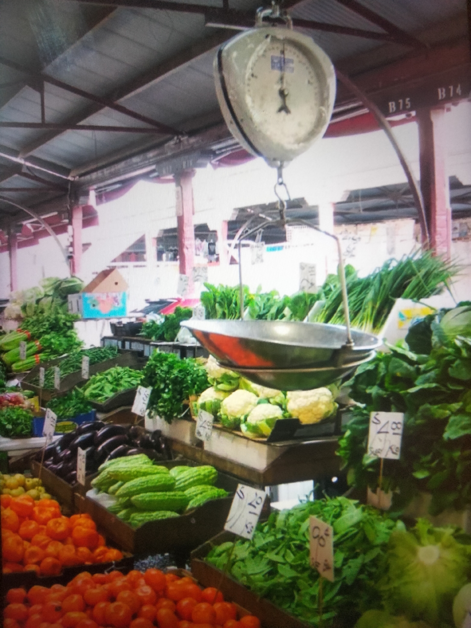 This is a full-shot, eye-level, medium-distance, outdoor photograph of a produce market stall under a covered structure. The scene is cluttered with an abundance of fresh vegetables and fruits. In the foreground, there are crates filled with tomatoes and other unidentifiable red fruits. To the left and center, there are rows of vegetables including eggplant, bitter melon, and leafy greens. In the background, there are more vegetables such as cauliflower, cabbage, and bundles of green onions. A vintage weighing scale is suspended from the ceiling above the produce. The market appears to be bustling with activity, though no people are clearly visible. The overall impression is one of abundance and freshness. The location is identified as Payagaboh, Indonesia.