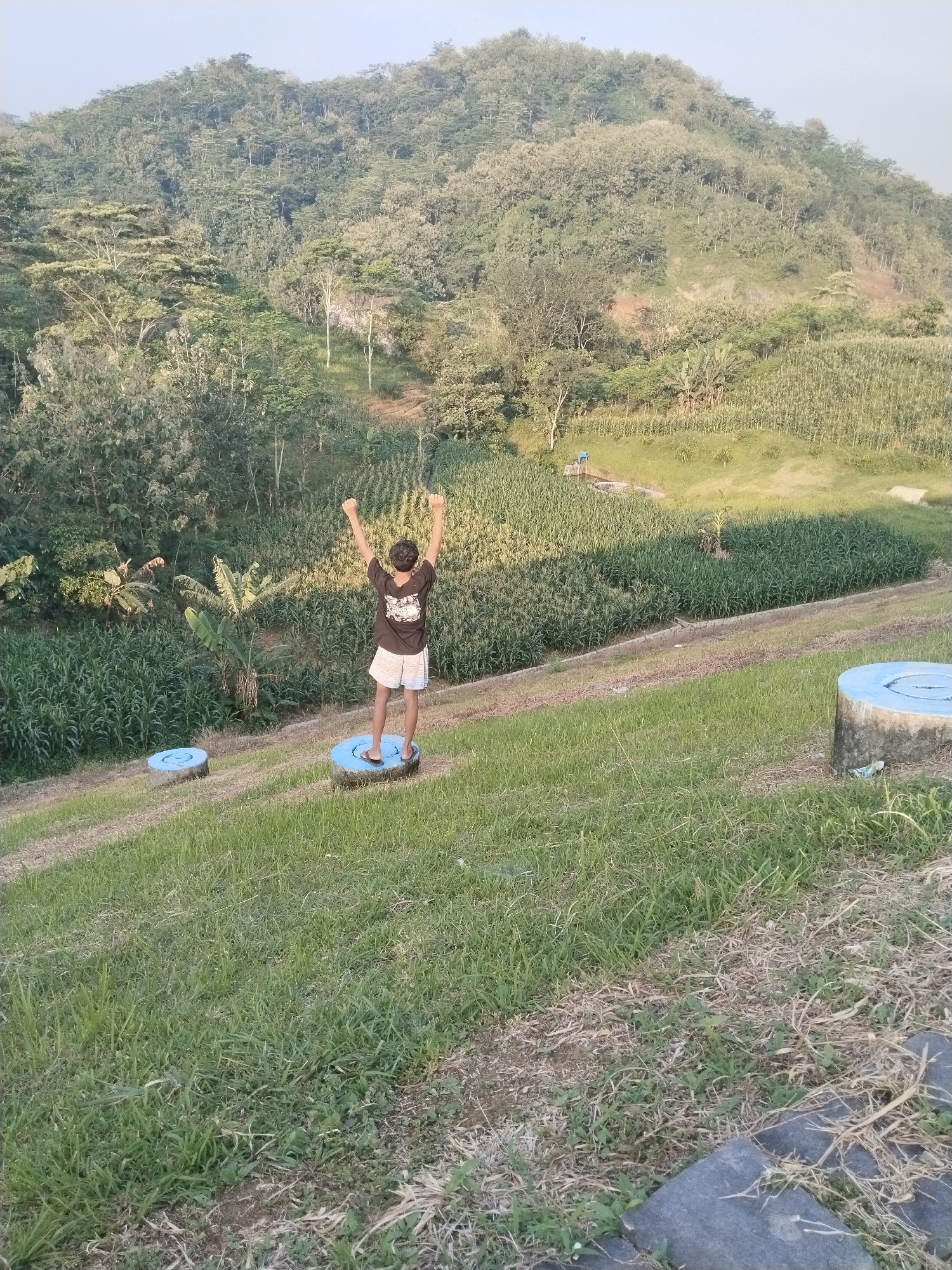 The image shows a person standing on a blue painted tree stump with arms raised in the air. The location is Jambeyan, Indonesia.
The person is wearing a dark t-shirt and light shorts, and sandals. There is another blue painted stump to the left of the person. Behind the person is a corn field and a forested hill. The foreground consists of a grassy slope. There is a concrete object to the right of the image. The sky is visible in the background.