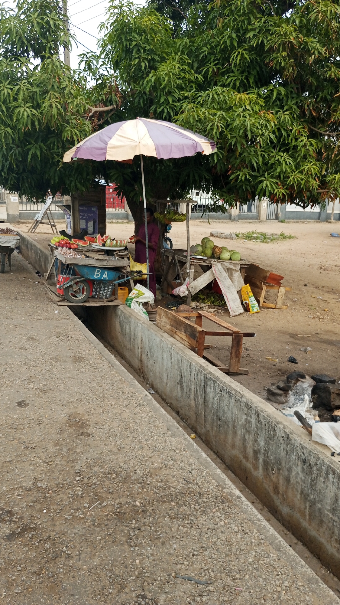 The image depicts an outdoor fruit stand in Zango-ndaji, Nigeria. A narrow concrete drainage ditch runs across the foreground. Behind the ditch, a cart laden with watermelons and other fruits sits beneath a purple and cream-colored umbrella, partially shaded by a large leafy tree. A person in a purple garment stands behind the cart near a makeshift table displaying coconuts and bananas. Debris, including wooden crates, bags, and charred remnants of a fire, are scattered around the fruit stand. In the background, part of a white building and a section of a fenced area can be seen.
