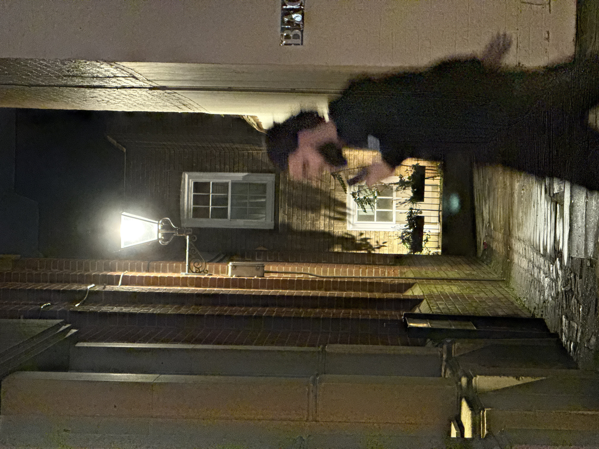A nighttime scene depicts a narrow, historic alleyway in London, United Kingdom. The passage is illuminated by a single, ornate, wall-mounted streetlamp with a lantern-style glass shade, casting strong shadows. To the left, a light-colored stone or concrete structure with prominent columns forms one side of the alley. The opposite side, visible in the background, is a multi-story brick building featuring two white-framed sash windows. Below the lower window, a dark metal railing supports a window box containing green plants. The ground is paved with uneven cobblestones, appearing wet and reflective from the artificial light. On the right, a lighter-colored wall, likely painted brick or stucco, displays a metallic sign with the raised silver letters "BA..." visible, strongly suggesting a "BAO" establishment, a known London restaurant chain. A single individual, blurred by motion, is walking from the background towards the right foreground. The person appears to be male, with a beard and dark hair or head covering, dressed in dark clothing. They are holding a dark-colored object, consistent with a smartphone, in their right hand.