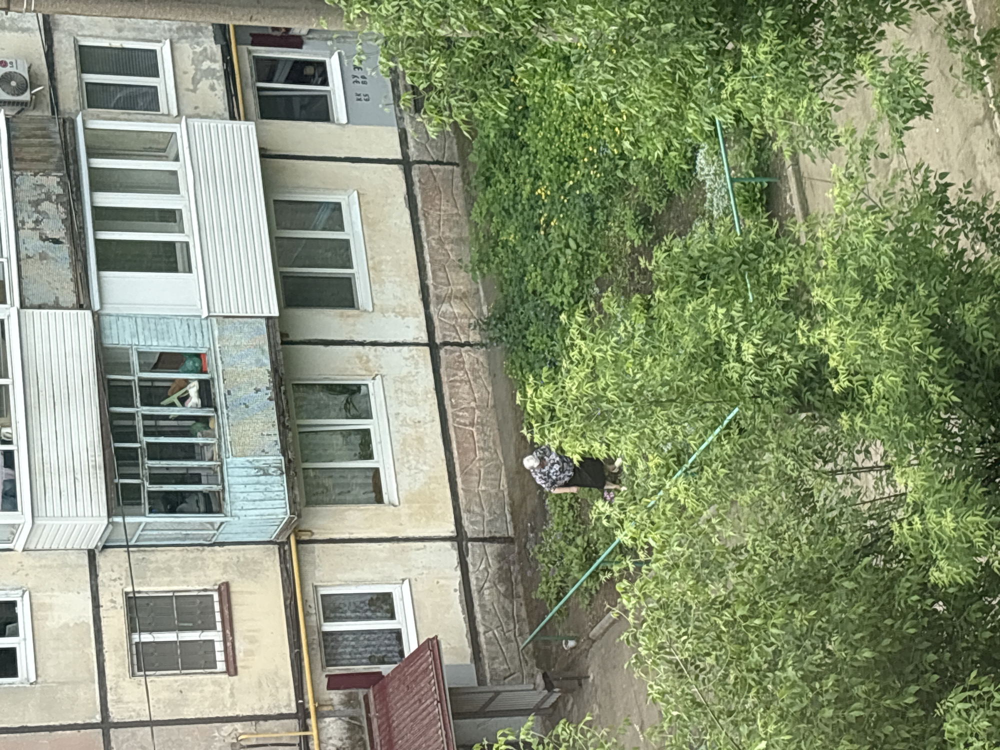 From an elevated perspective, the image depicts a section of an apartment building in Izhevsk, Russia, with a courtyard. The building has a mix of original and modified balconies, visible windows of varying styles, and a yellow gas pipe running along the facade. An elderly woman wearing a dark skirt and patterned top is tending to a small garden plot in the courtyard, surrounded by trees and greenery. A T-shaped clothesline is visible in the background. The courtyard appears to be partially paved.
