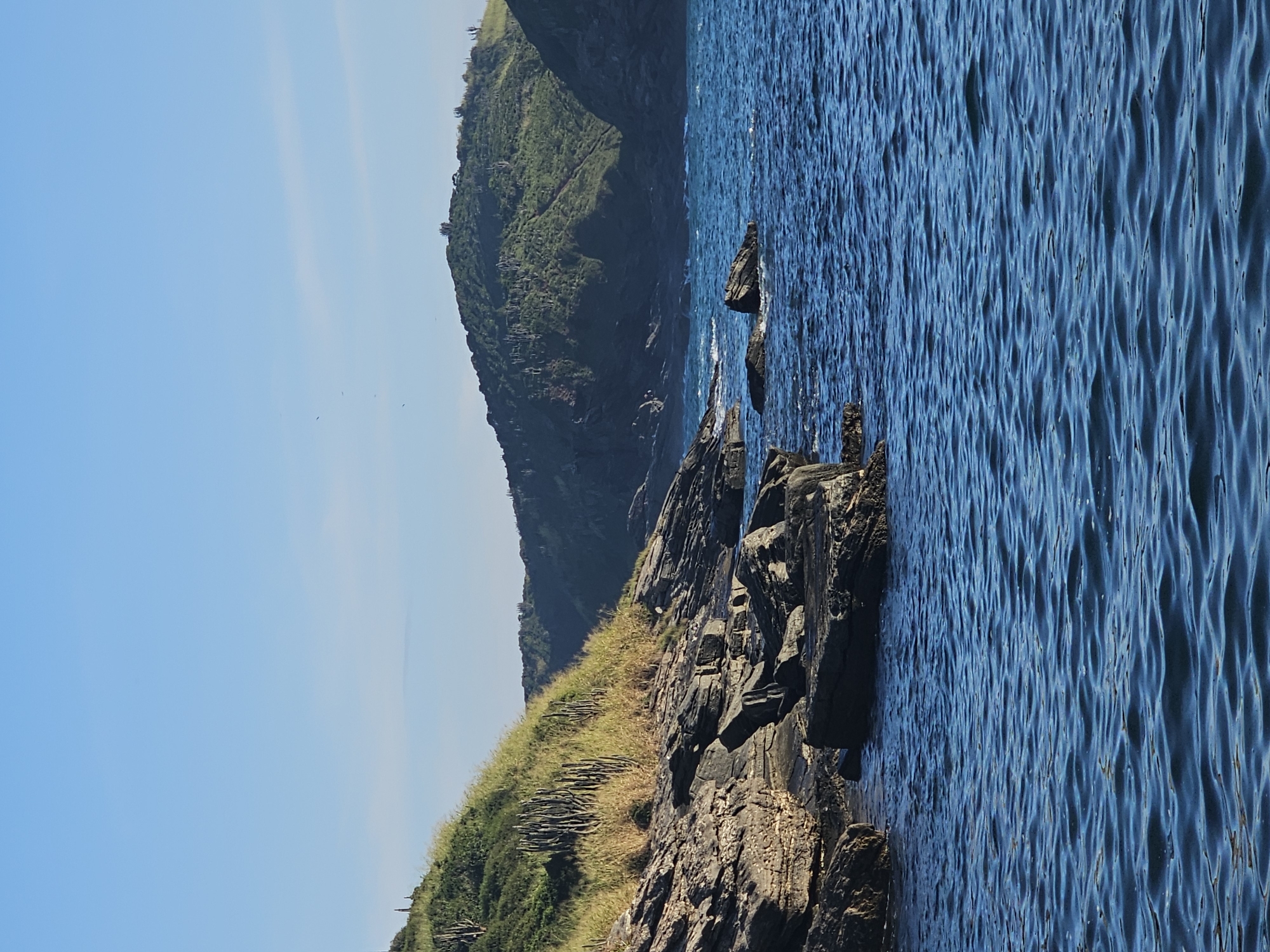 The image captures a coastal scene in Armação dos Búzios, Brazil. The foreground consists of rocky cliffs covered with sparse vegetation, meeting the edge of a blue ocean. The water is rippled. In the background, a densely vegetated hill rises, with a clear blue sky above.