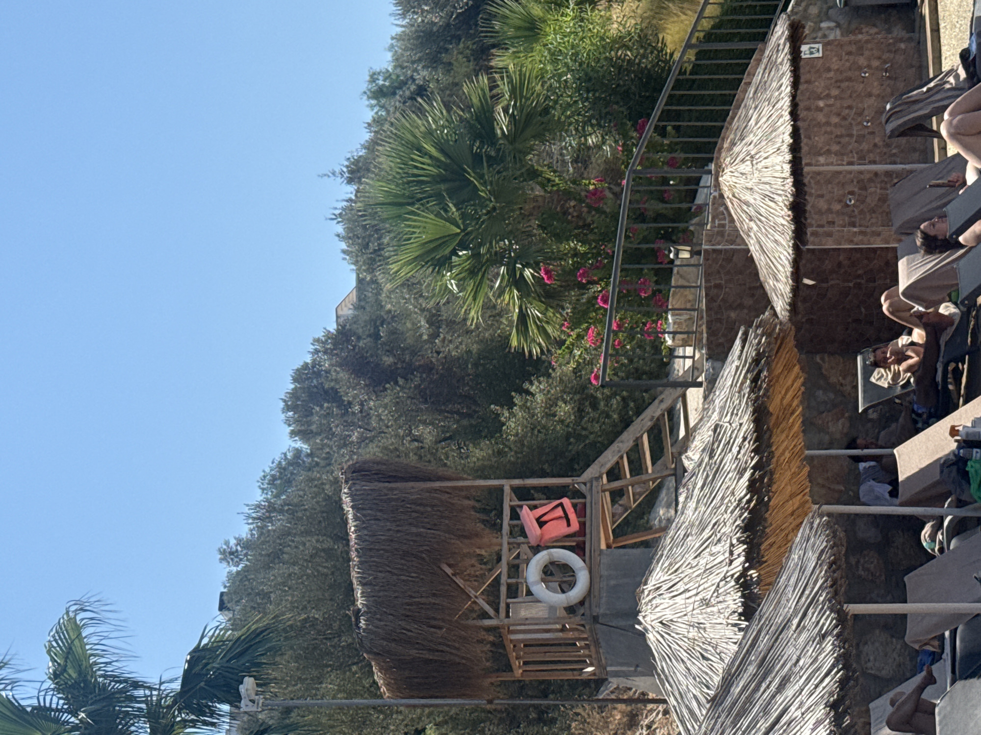 This image depicts a sunny outdoor scene in Bodrum, Turkey, likely at a resort or beach club. In the foreground, several thatched umbrellas shade lounge chairs where people are relaxing. To the left, a lifeguard tower with a thatched roof stands, equipped with a life ring and a red float. Behind the tower, lush green trees and foliage cover a hillside, with a glimpse of a building at the top. A palm tree is prominent in the mid-ground, surrounded by pink flowering bushes. A metal railing runs along a pathway, suggesting an elevated area or stairs. The sky is a clear, bright blue. The overall impression is one of a relaxed, summery atmosphere.