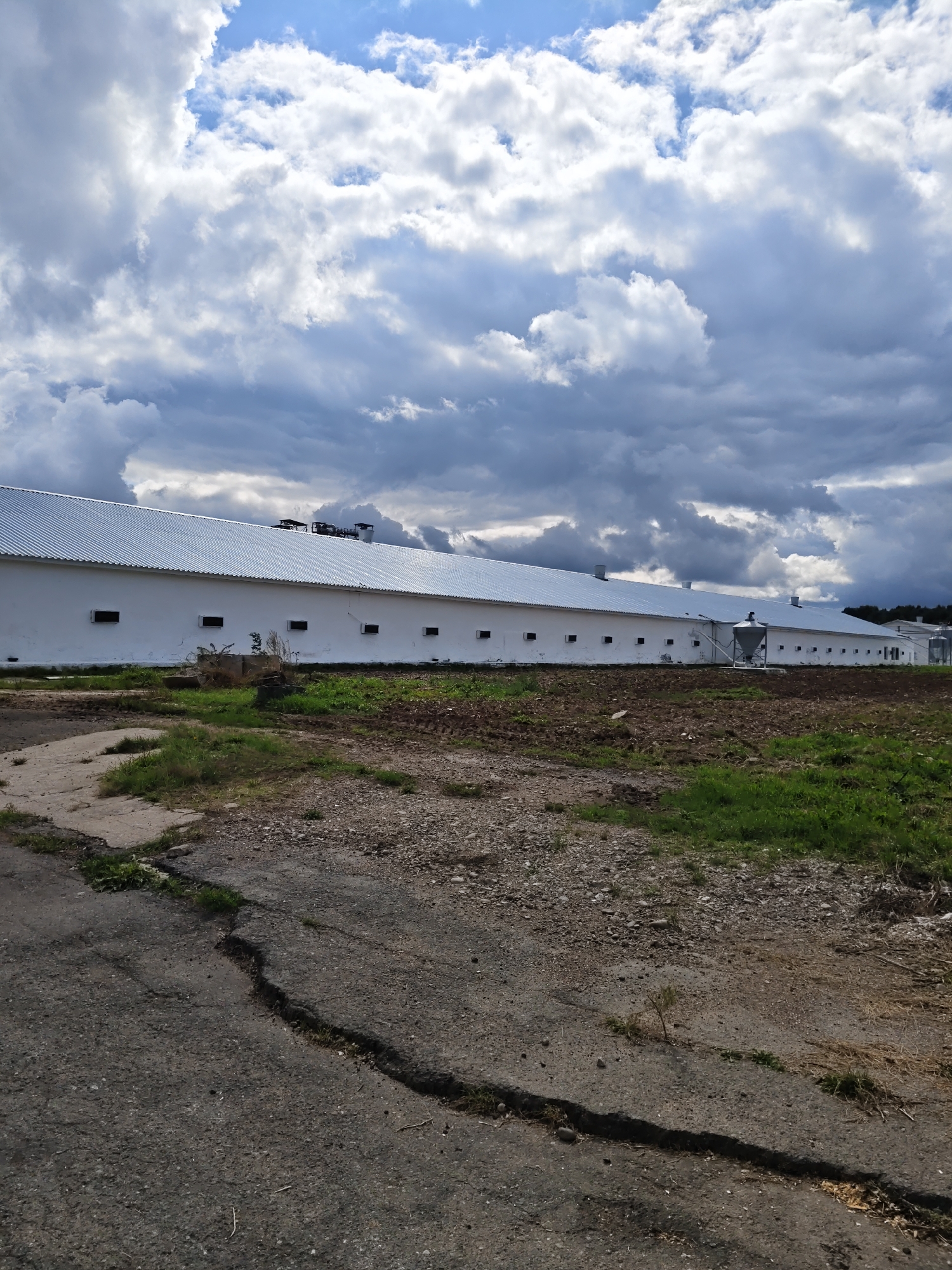 The image depicts a long, white, single-story agricultural building with a corrugated metal roof, situated in the village of Платошино, Russia. The building features numerous small, dark rectangular windows evenly spaced along its facade. In front of the building, there is a patch of overgrown grass and some disturbed soil, suggesting agricultural activity. A cracked asphalt path or road is visible in the foreground, leading towards the building. The sky above is filled with dramatic, dark clouds and patches of blue sky. There are no people or animals visible in the scene. The overall impression is one of a functional, perhaps somewhat weathered, rural agricultural facility under a dynamic sky.