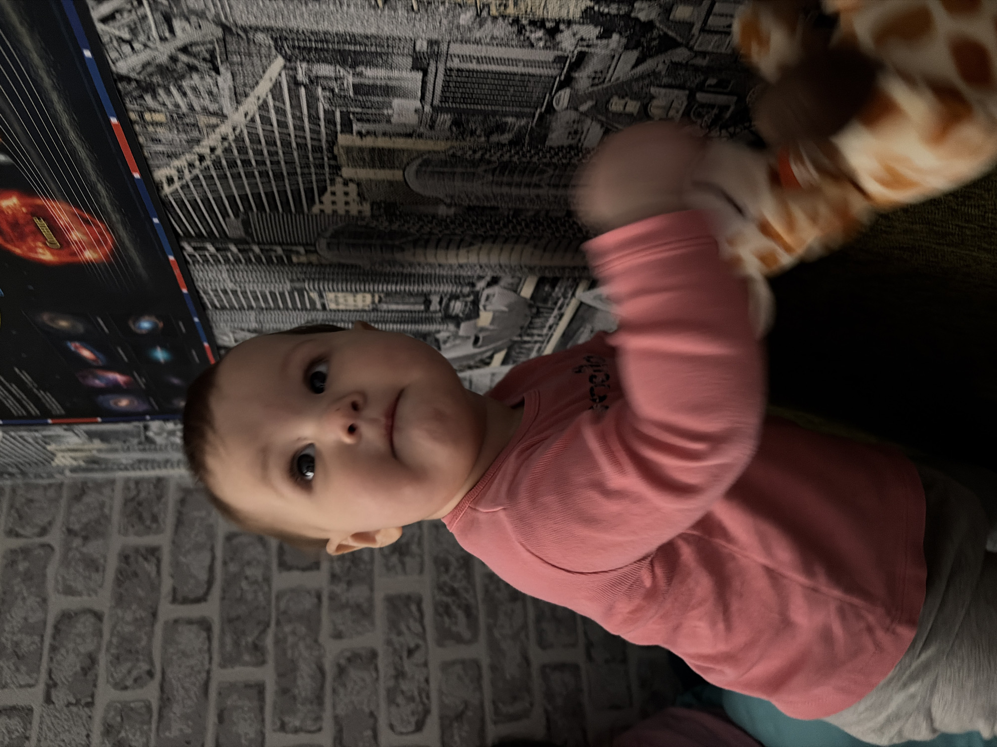 A baby wearing a pink long-sleeved shirt and gray pants is holding a giraffe stuffed animal. The background consists of a gray brick-patterned wall on the left, a black and white city scene wallpaper above, and a poster with images of planets on the top left. The location is not identified as Novopokrovskaya, Russia, or any specific location.