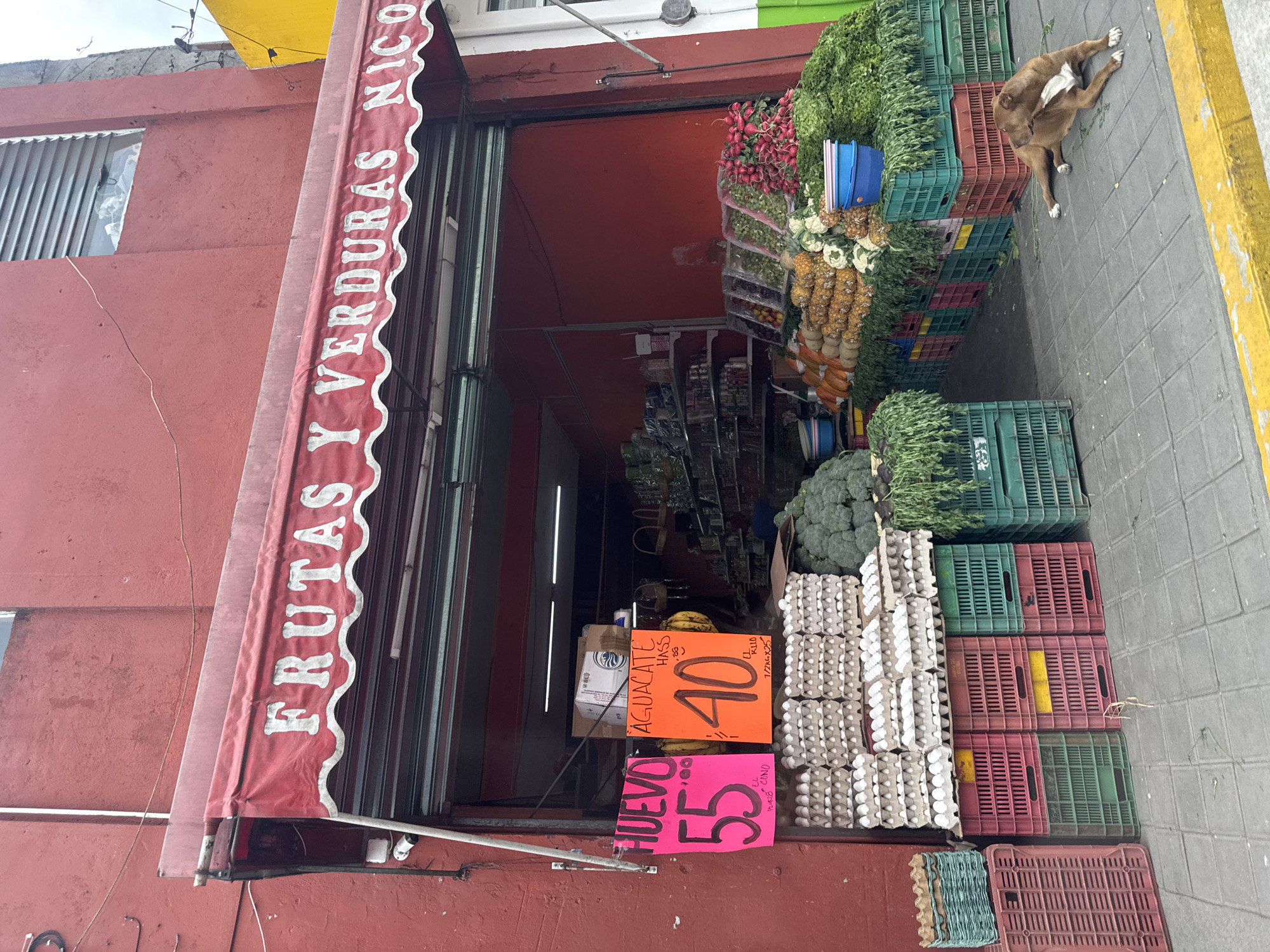 A tilted, medium-shot photograph depicts a fruit and vegetable store in Jilotepec, Mexico. The store, indicated by a red awning with white lettering reading "FRUTAS Y VERDURAS NICO," is located in a red building with a partially visible green-white-red flag above.
The store entrance reveals a deep interior stocked with produce. Outside, stacks of colorful crates are filled with various items. From the top down, there are radishes, fruits, pineapples, and carrots. Below these, there are more unidentified vegetables. Then crates of broccoli and stacks of egg cartons lead the eye to a pink sign labeled "HUEVO" and an orange sign labeled "AGUACATE."
A brown dog with a white patch on its chest rests on the sidewalk next to the crates of produce. The sidewalk is gray-tiled with a yellow curb. The sky is overcast.