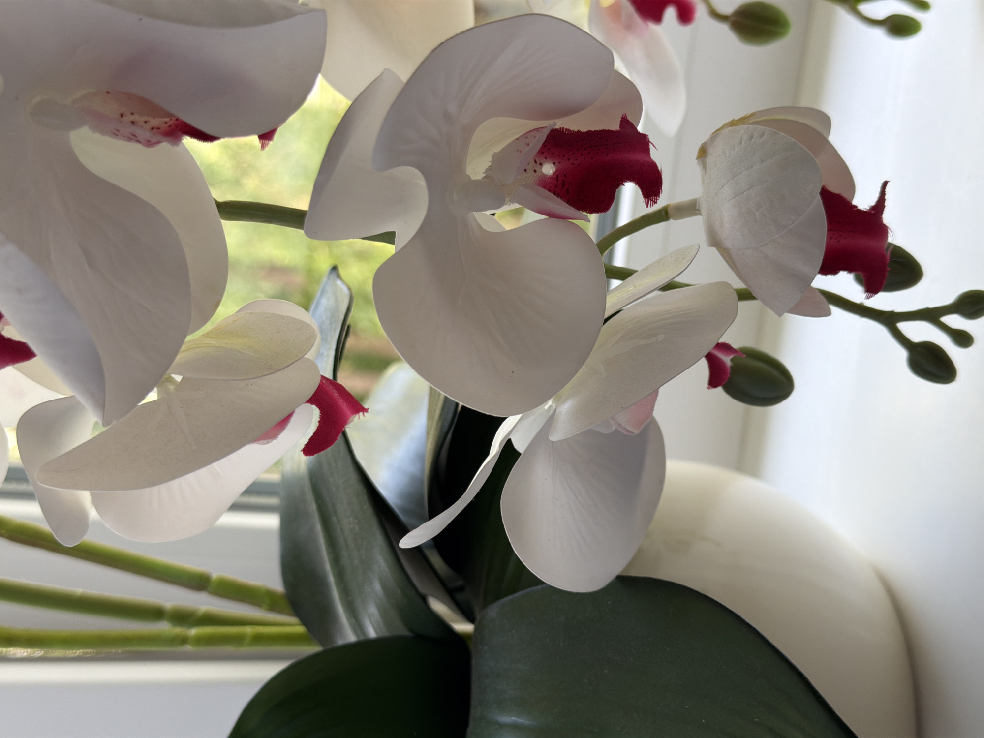 This is a close-up, eye-level, indoor shot of artificial white orchids with deep pink centers, displayed in a cream-colored pot. The pot is partially visible on the left side of the frame, with large, dark green leaves emerging from it. The orchid stems are green and ribbed, with several buds also present. The flowers are delicate and detailed, with visible veining on the petals. The background is softly blurred, suggesting an outdoor environment with green foliage, and a bright white surface, possibly a windowsill, is in the foreground. The lighting is natural and diffused, creating soft shadows. The scene appears to be staged, focusing on the artificial flora. The location is unknown.