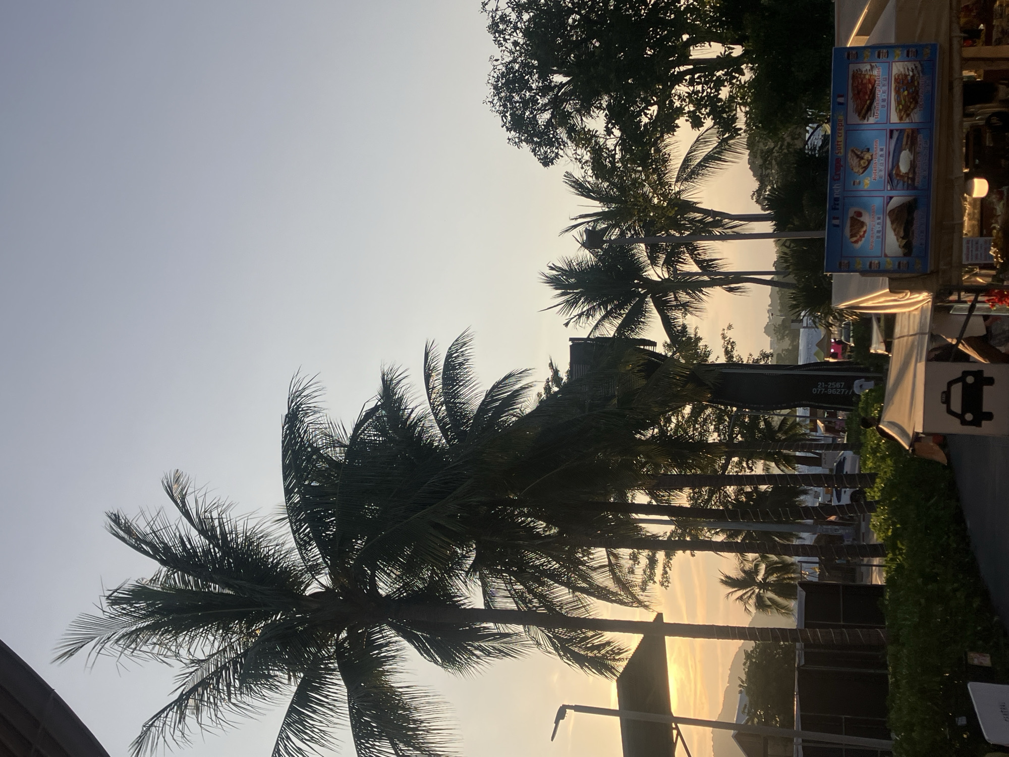 The image, taken in Baan Chaweng, Thailand, depicts a vibrant tropical scene, likely during late afternoon or early evening, characterized by a soft, hazy sky. The sky transitions from a warm, golden orange near the horizon to a pale blue further up, suggesting either sunrise or sunset.
Prominently featured are numerous tall palm trees and other dense foliage, silhouetted against the bright sky. Their dark fronds create intricate patterns, with some catching the glow of the low sun. In the mid-ground, distant mountains or hills are visible on the horizon.
On the right side of the image, commercial activity is evident. A blue signboard, oriented vertically but intended to be horizontal, advertises "French Crepe Soft Crepe" with images of various crepes. Specific options listed include "Strawberry Nutella," "Nutella Banana," "Cinnamon," "Nutella," and "Nutella Chocolate," along with some text in Thai script. Below this sign, a smaller white sign with a black taxi icon is visible. Further to the left, another partial sign displays numbers "21-2567" and "077-96277/." The presence of these stalls indicates a lively area, possibly a night market or a promenade lined with eateries. The overall ambiance is relaxed and inviting, typical of a tropical vacation destination.
