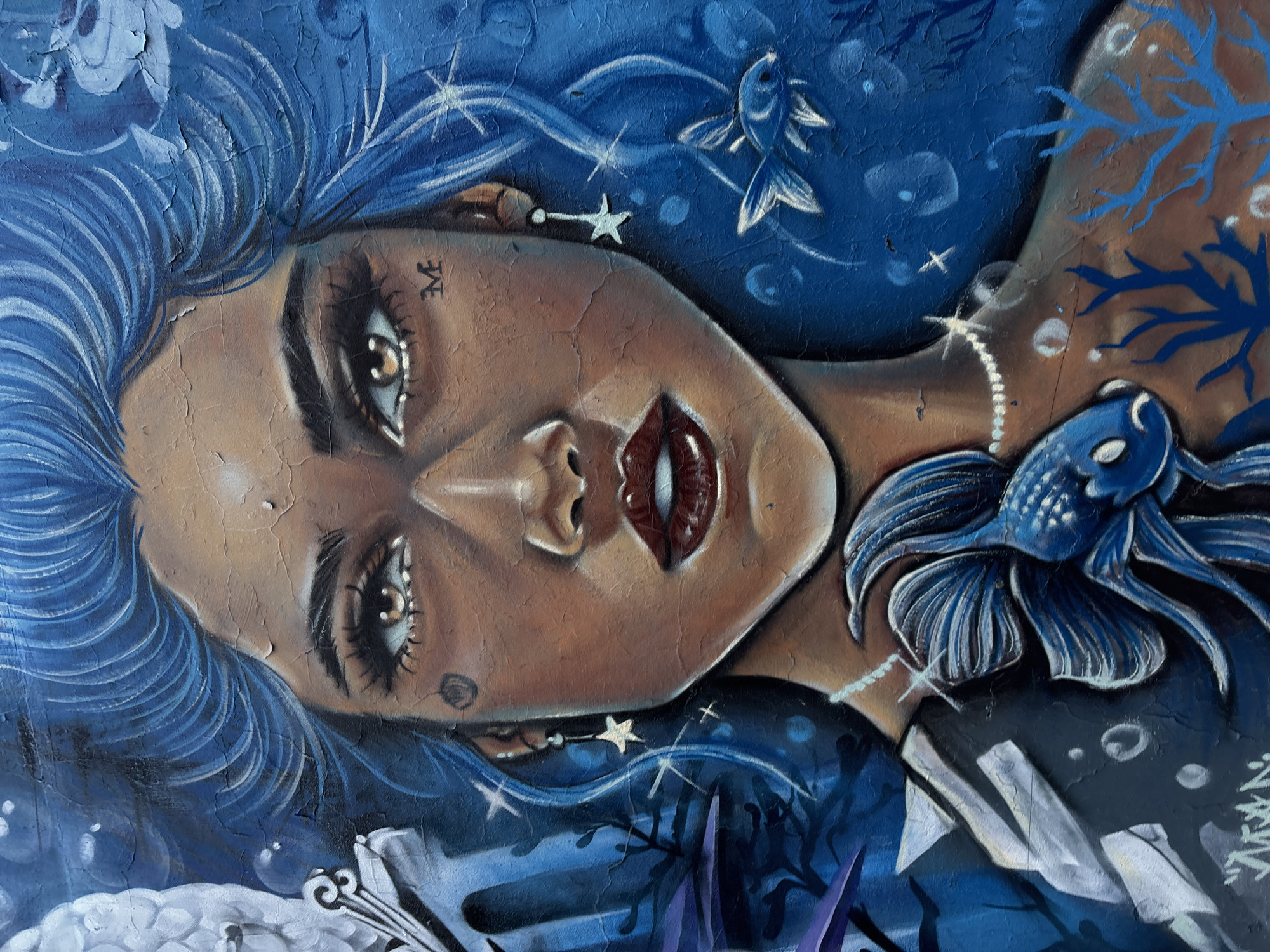 The image shows a close-up of a mural depicting a woman with blue hair and a tanned complexion. She has dark eyes, red lips, and a small tattoo on her forehead. A blue fish is near her shoulder, and another floats in the background. The background is various shades of blue with bubble and star-like details. The mural appears to be painted on a cracked or peeling surface. The image provides no information about the location in Buenos Aires, Argentina.