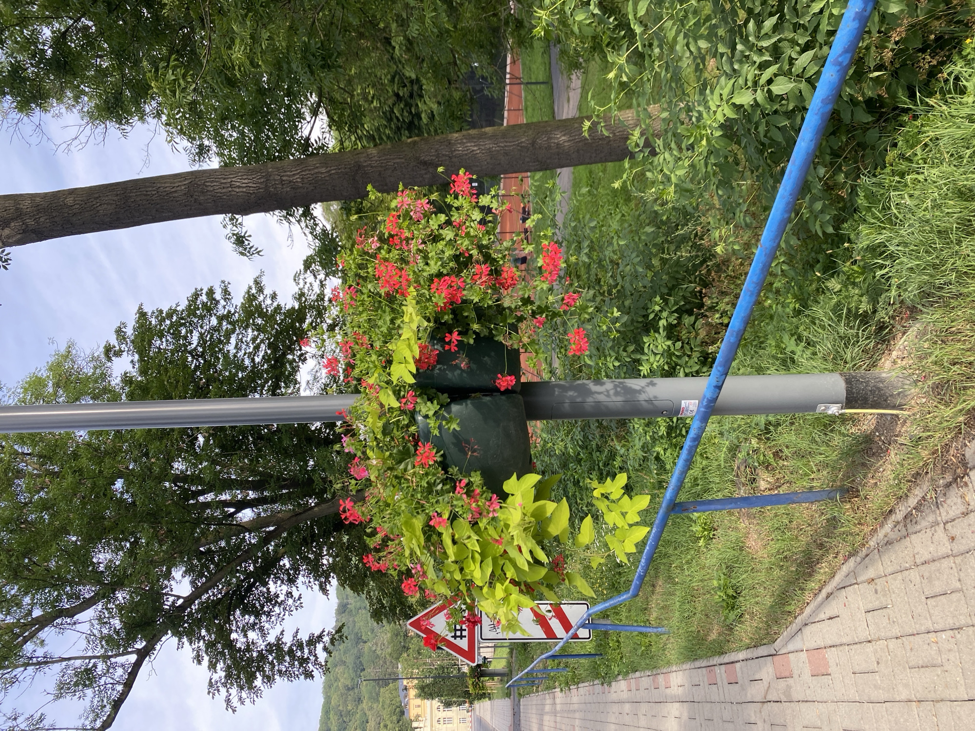 The image shows a decorative planter filled with red and pink flowers and green trailing plants, attached to a grey lamppost in Bílina, Czechia. A blue metal railing runs in front of the planter and along a paved sidewalk. Behind the railing, there is grass and dense green foliage. Further in the background, a tree trunk is visible, and beyond that, what appears to be a sports field with a reddish surface. In the distance, a building with a yellow facade and a green roof can be seen, situated on a hillside covered with trees. Traffic signs are also visible near the sidewalk. The sky is partly cloudy. There are no people directly in the frame.
