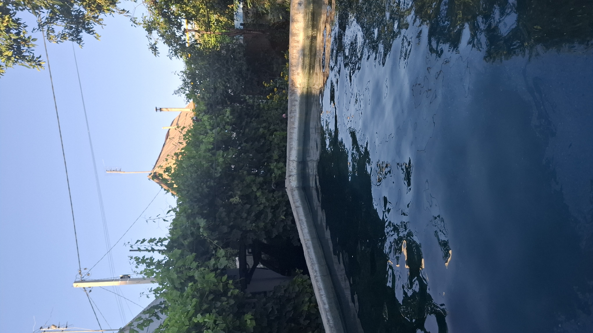 A rectangular swimming pool with a concrete rim is partially visible in the foreground, filled with dark blue water. The water's surface is disturbed by ripples, reflecting light and casting shadows. Behind the pool, a dense wall of green foliage covers the background, obscuring parts of structures. A portion of a building with a corrugated metal roof and a chimney is visible above the foliage, along with power lines and utility poles. The sky above is clear and blue. The scene appears to be an outdoor residential area in Шұбарсу, Kazakhstan.